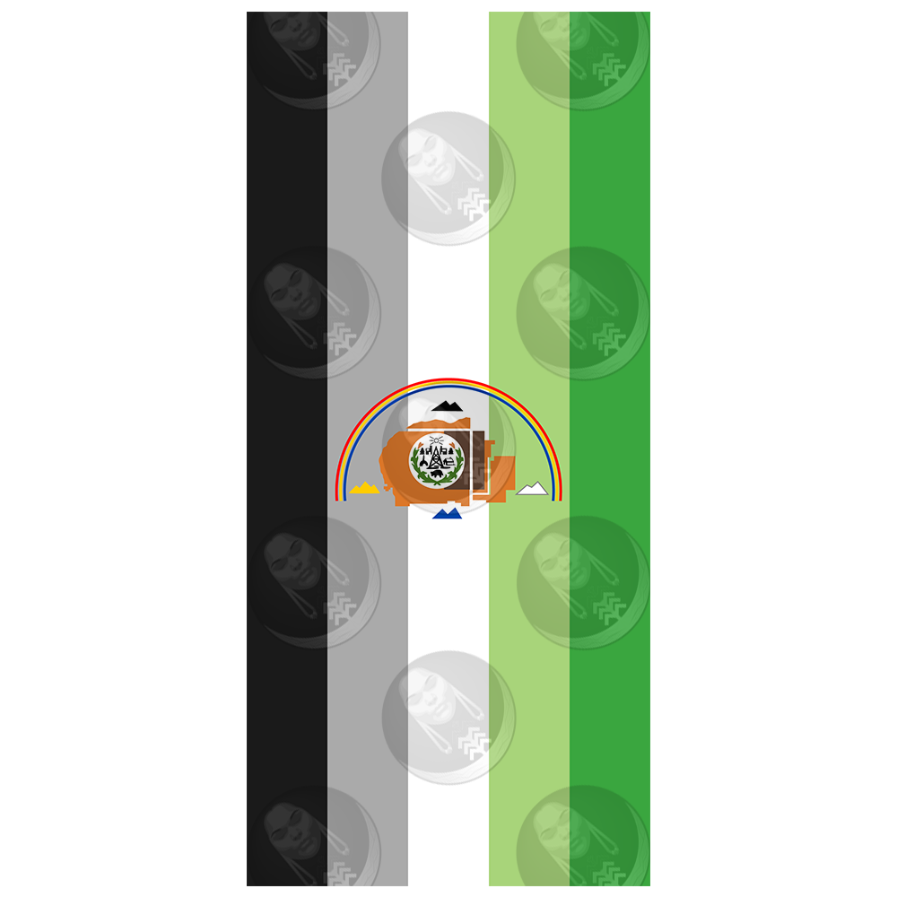Aromantic/Aro Navajo Nation Pride Flag (Vertical)