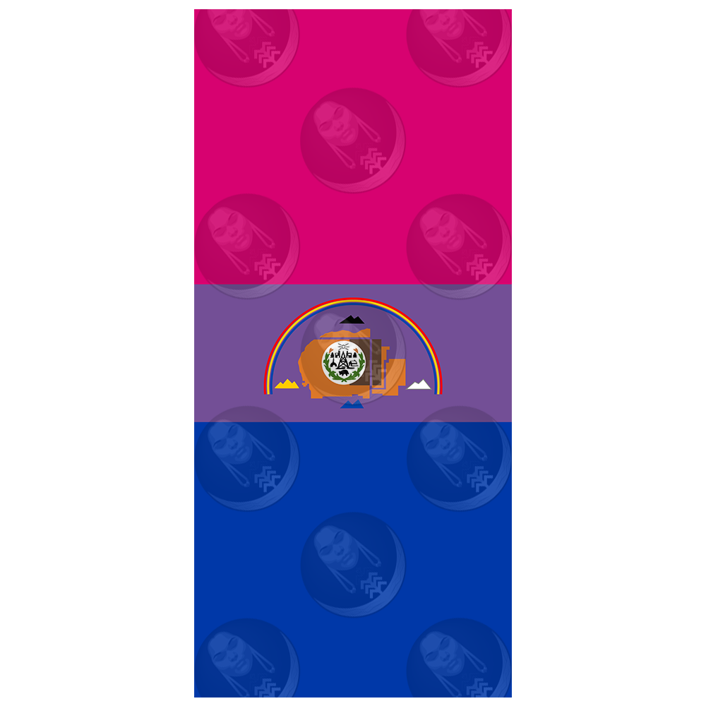 Bisexual/Bi Navajo Nation Pride Flag  (Horizontal)