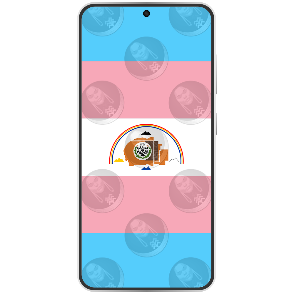 Navajo Nation Trans Horizontal.png
