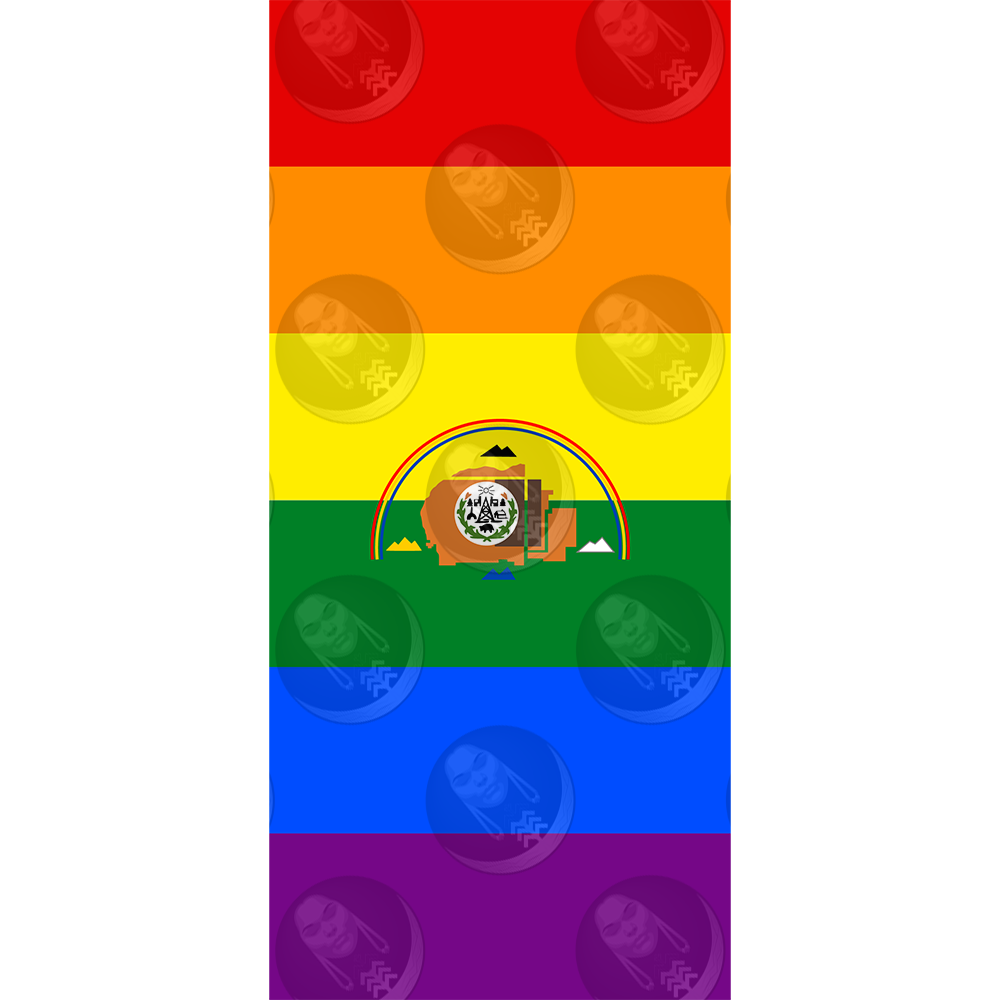 1979 Rainbow Navajo Nation Pride Flag (Horizontal)