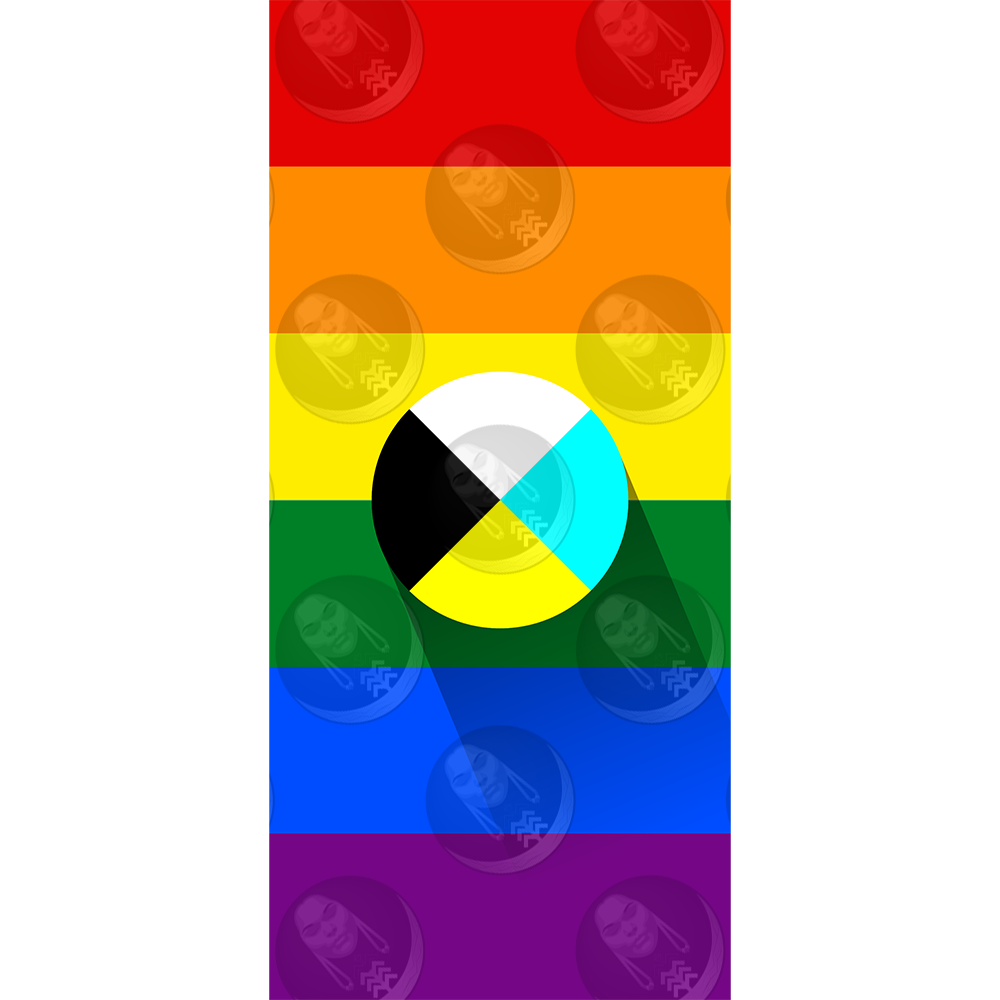 1979 Rainbow Diné Pride Flag (Horizontal)