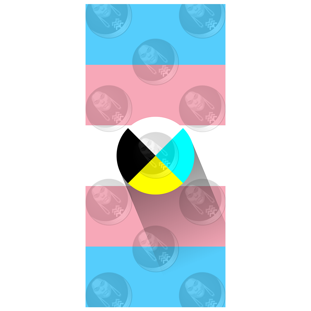 Transgender/Trans Diné Pride Flag (Horizontal)