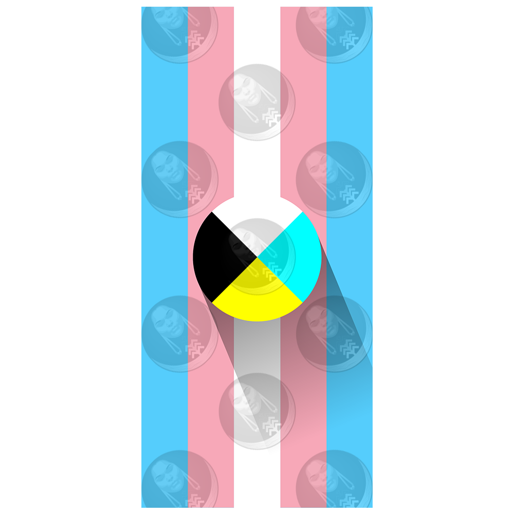 Transgender/Trans Diné Pride Flag (Vertical)