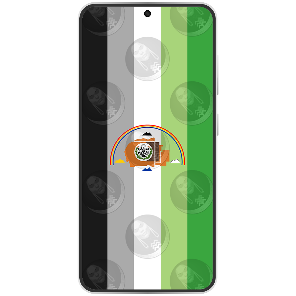 Navajo Nation Aro Vertical.png