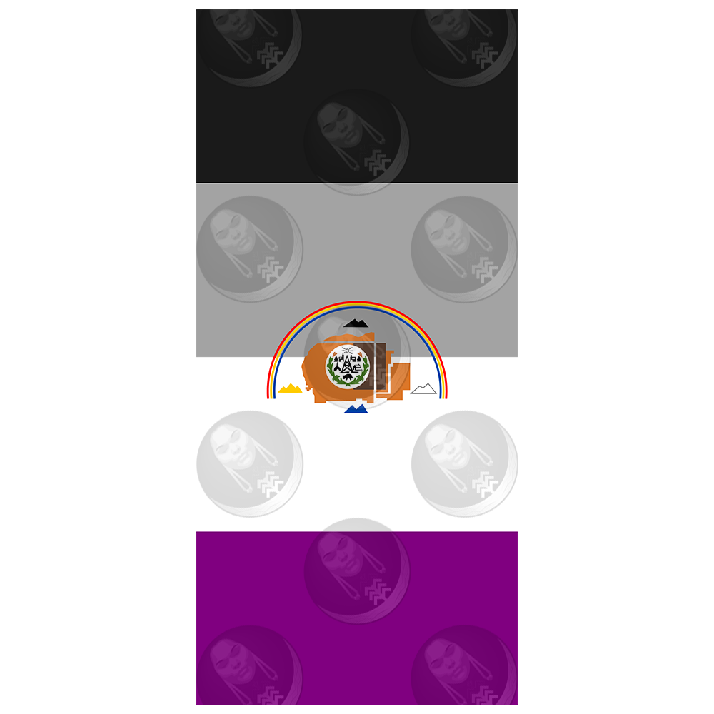 Asexual/Ace Navajo Nation Pride Flag (Horizontal)