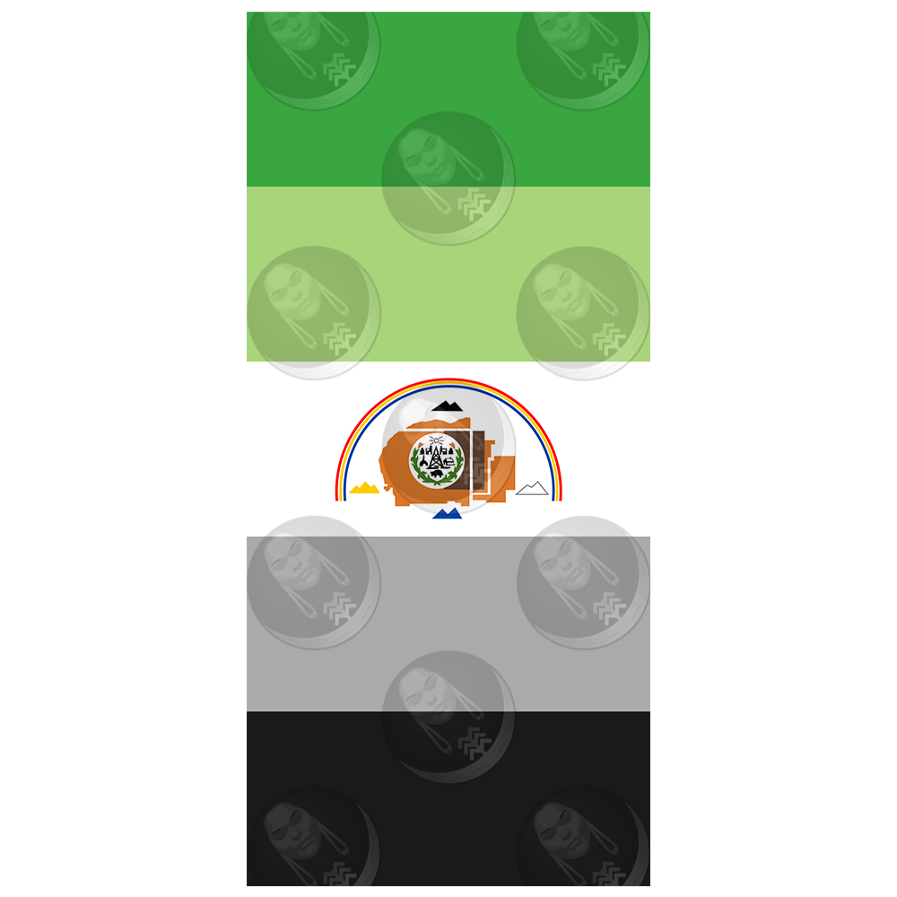 Aromantic/Aro Navajo Nation Pride Flag (Horizontal)