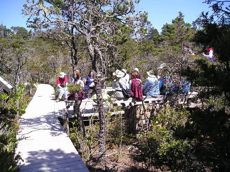 EcologicalStaircase-school group.jpeg