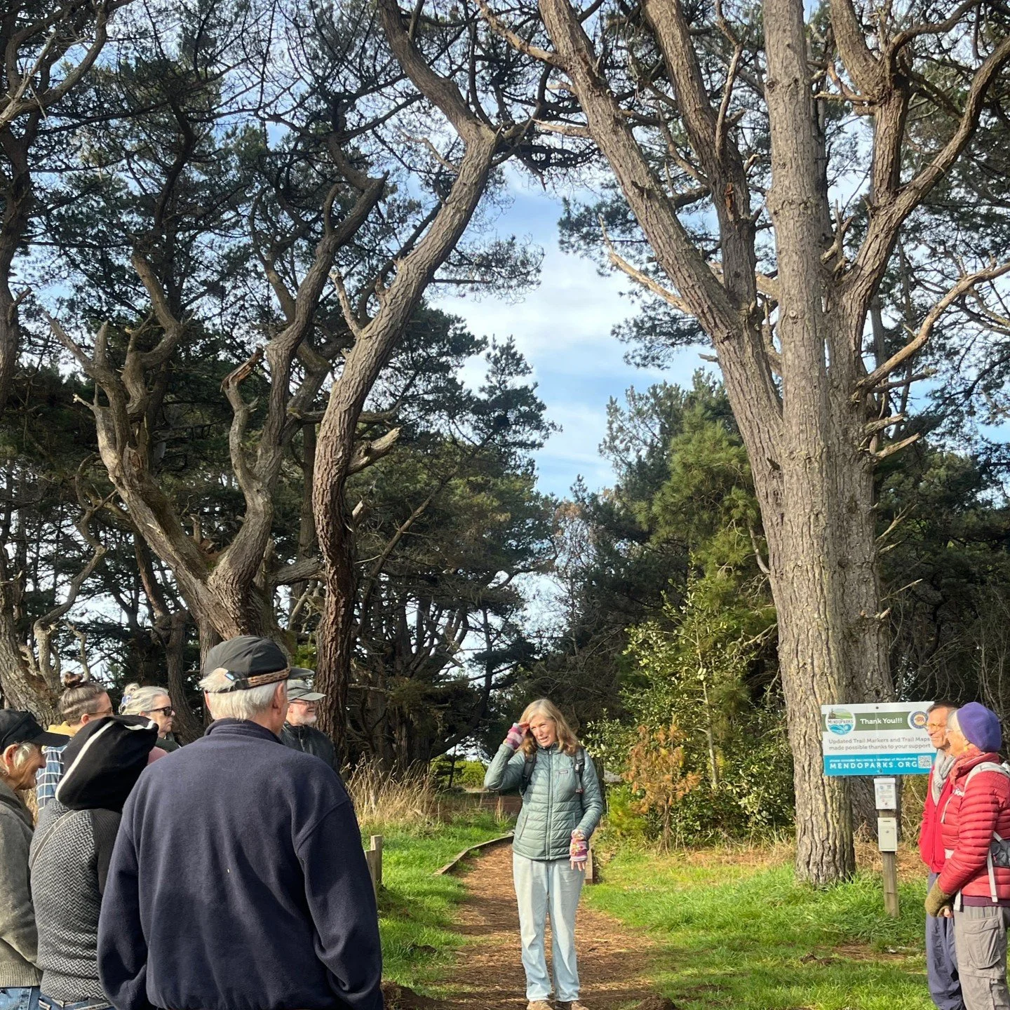A big "Thank You!" to all the hikers that joined on the Ecological Staircase this past weekend. We had a beautiful day enjoy the changing ecology over this 2.3 mile hike up to the pygmy forest, lead by Sue Coulter.

Join us next time! Sign 