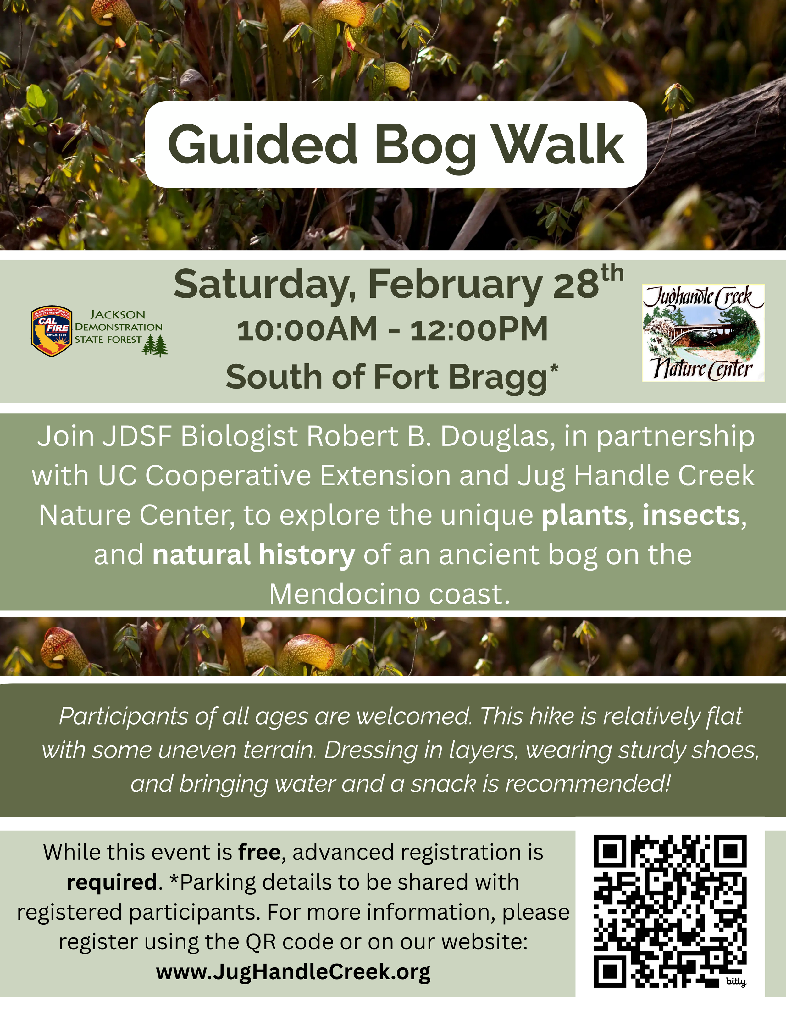Guided Bog Walk