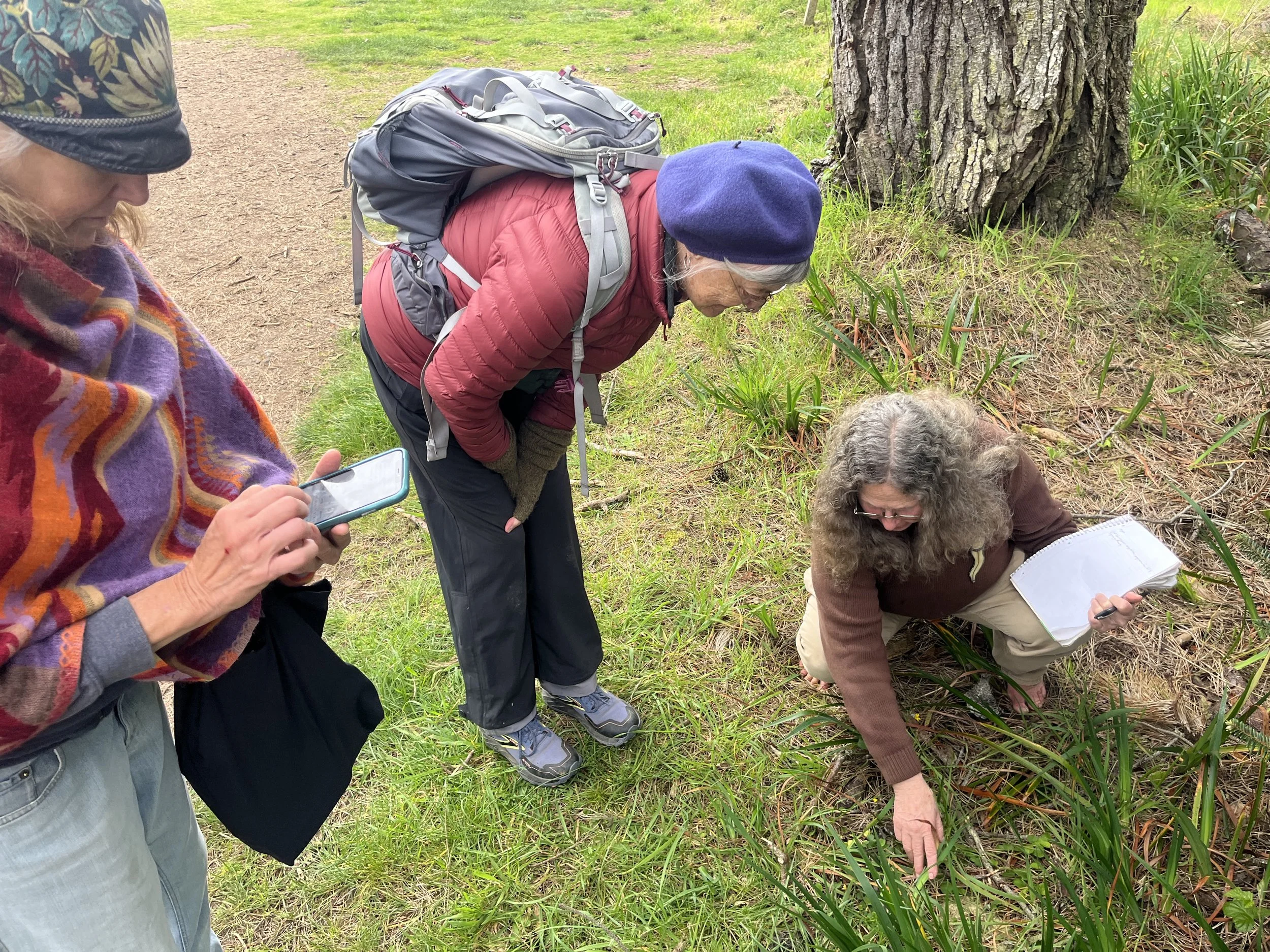 Staff Botanical Walk at Jug Handle Creek Nature Preserve