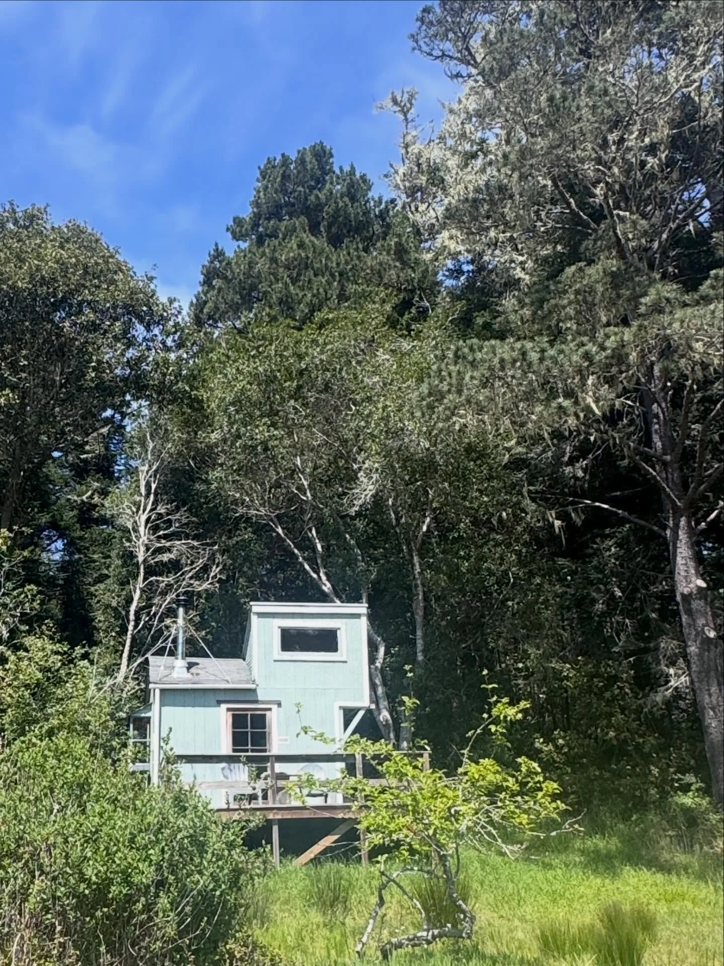 Want a relaxing little get-away? An escape from all the noise? We got you. ✨From our cozy, rustic cabins, to our 1875 Farmhouse, to our sweet little cottages with ocean views, Jug Handle Creek Nature Center is the perfect place to peace out for a bit