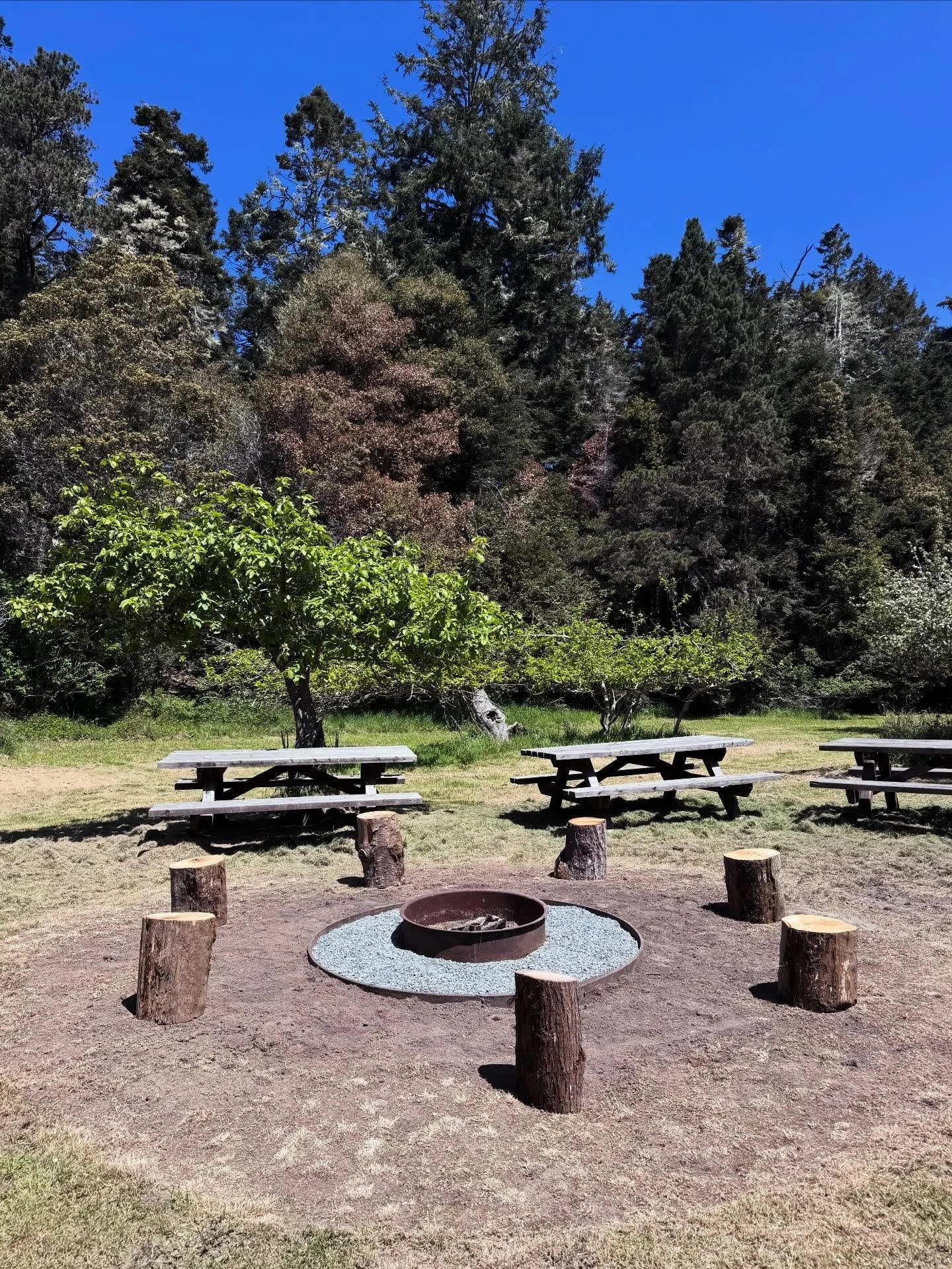 New fire pit!  Now our guests in the Farmhouse, cabins, and cottages have a fun communal outdoor gathering space! Centrally located in our lovely apple orchard. Bring your own firewood and s&rsquo;mores fixin&rsquo;s&hellip; we&rsquo;re chillin&rsquo