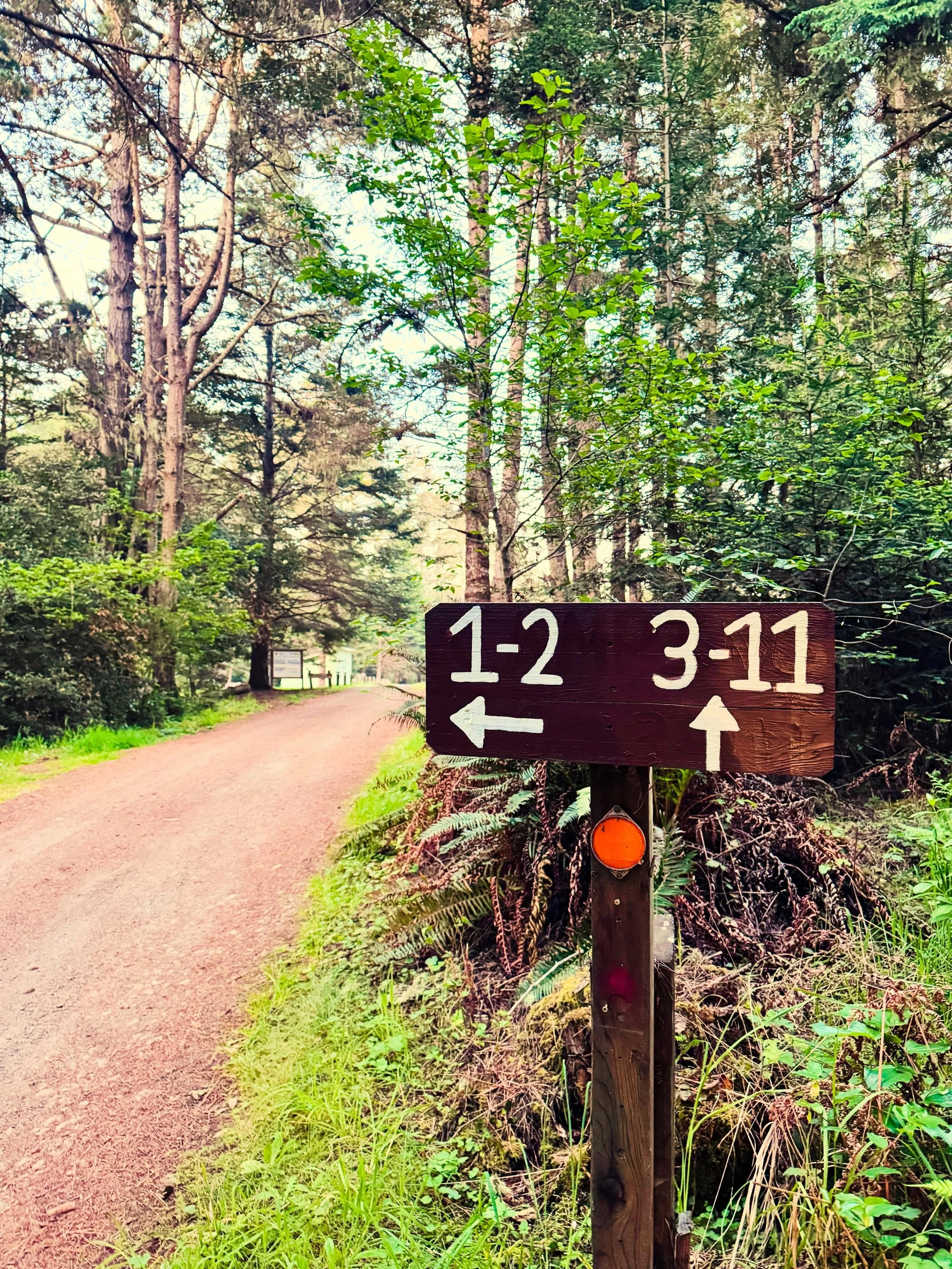 Let&rsquo;s go camping!!! 🏕️ Did you know that Jug Handle Creek Nature Center has an amazing 11 site campground on our beautiful 33 acre property? Spacious campsites, flush toilets, fire rings, and a trail that leads to the beach&hellip; who&rsquo;s