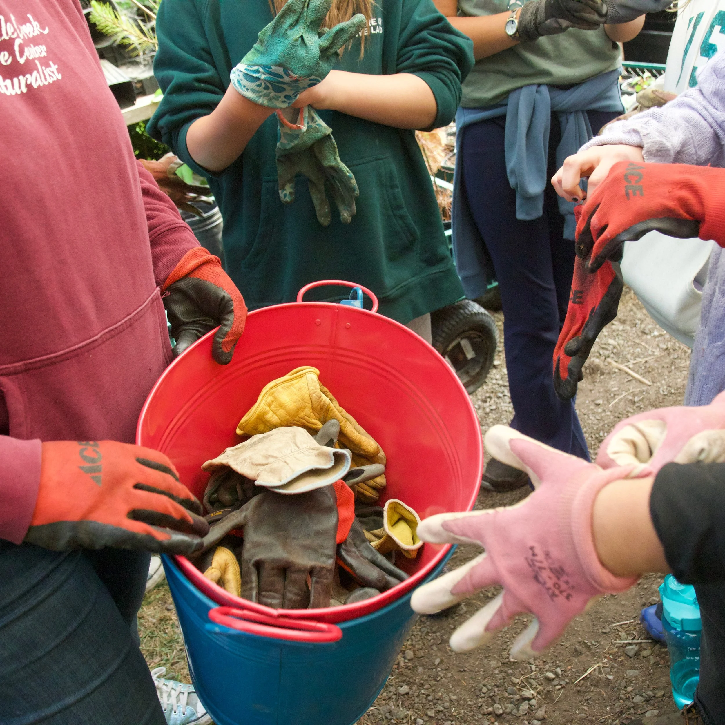 Many hands make light work! 

We love to see and hear the Native Plant Nursery bustling with kids, getting their hands dirty and learning how to care for a garden 🌱

A huge thanks to all the 6th graders that made soil, planted seedlings, pulled weed