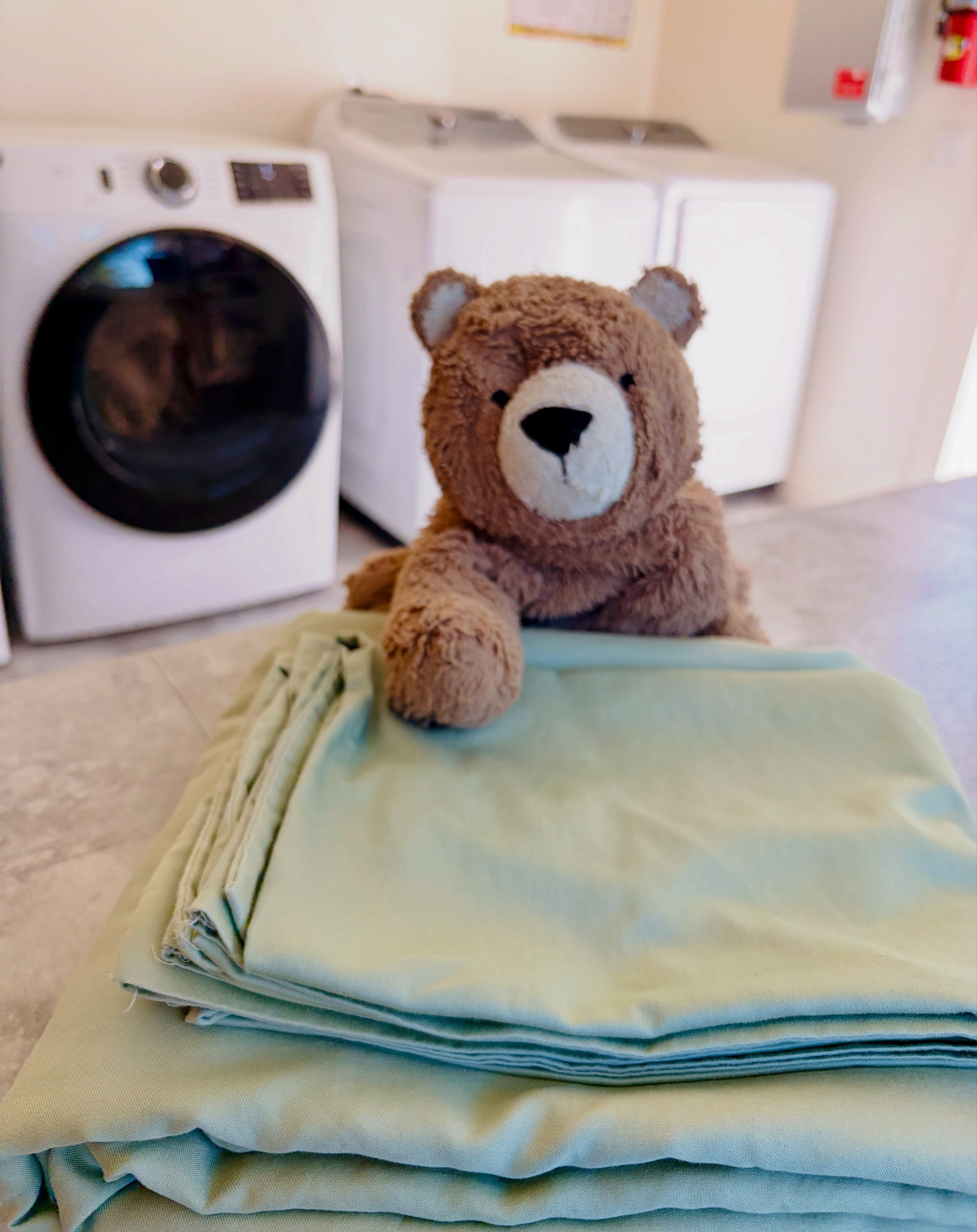 A young guest accidentally left her stuffie, Brownie, behind. He&rsquo;s on his way home to her today, but we sure did love having him around. He was a hardworking and cheerful guest housekeeper&hellip; he even knows how to fold a fitted sheet! 💛 #b