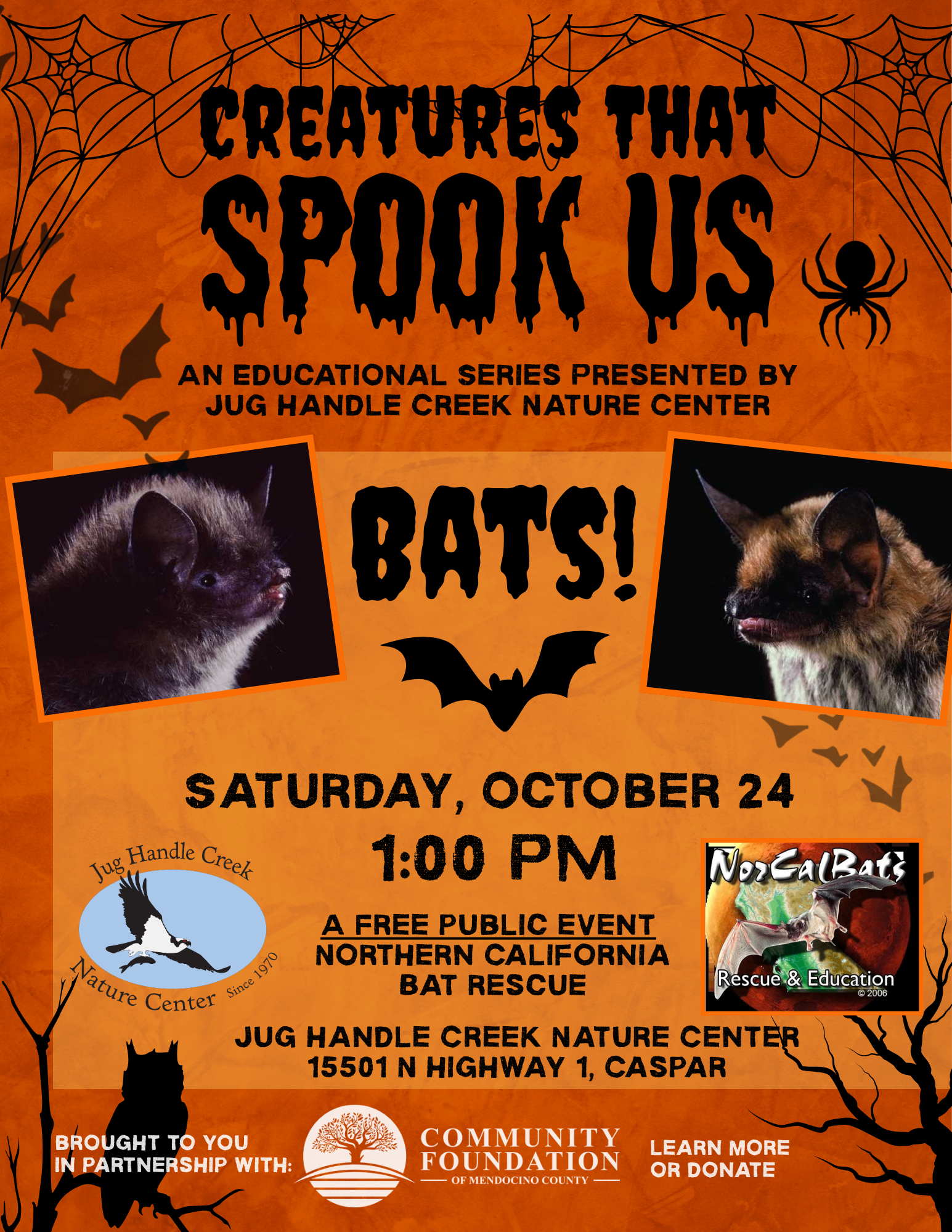 Creatures That Spook Us - Bats!