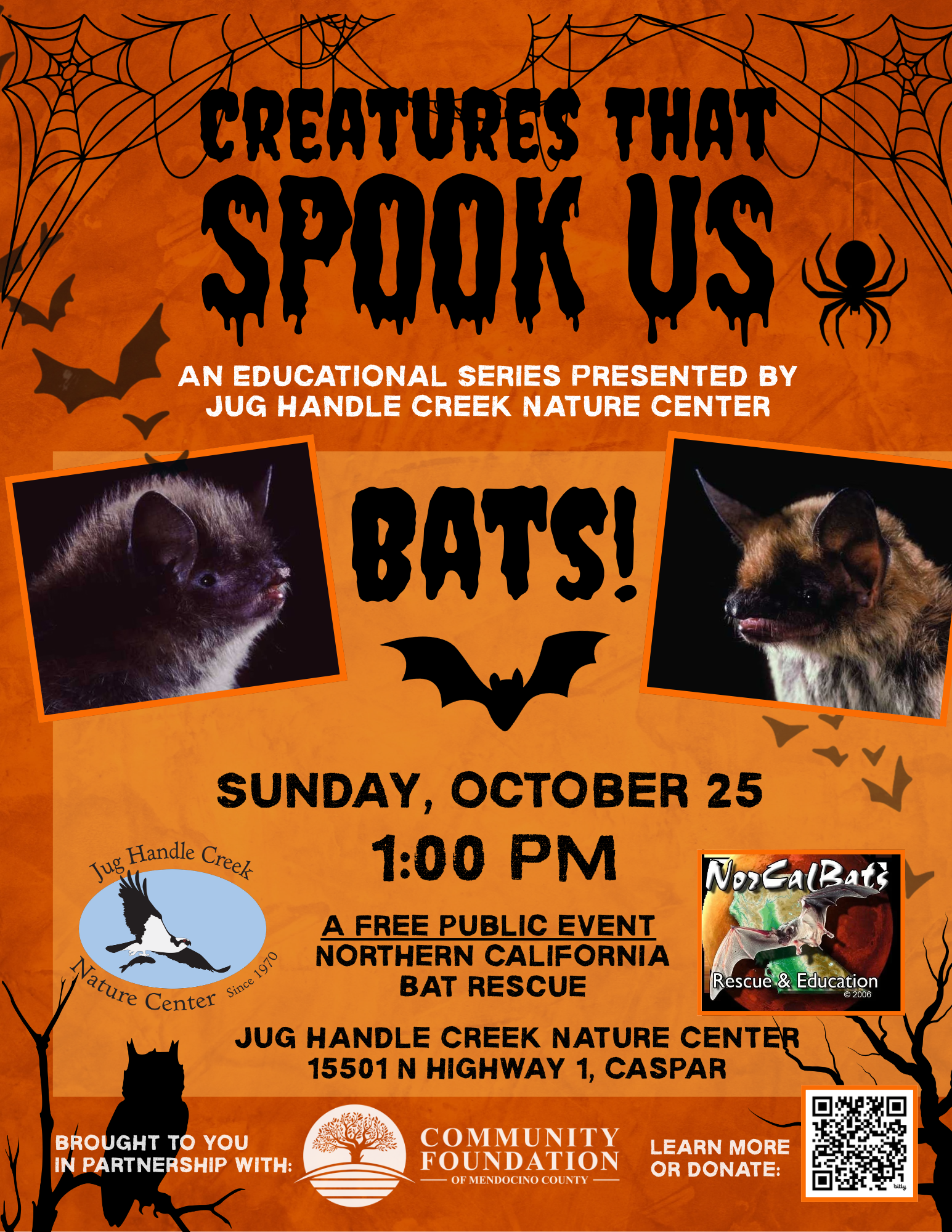 Creatures that Spook Us: Bats!