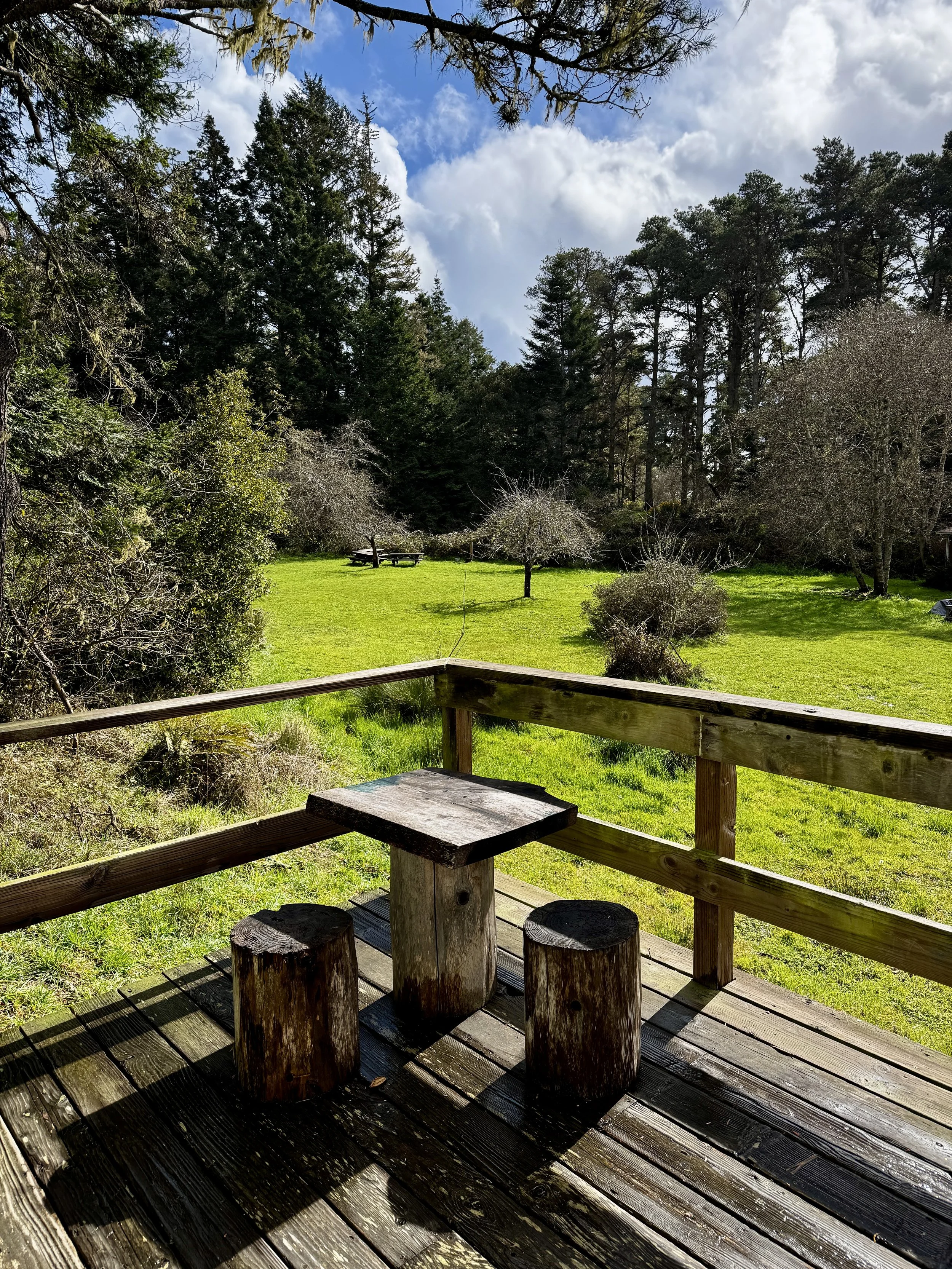 Watch the deer, birds, clouds, and stars from Orchard's deck.
