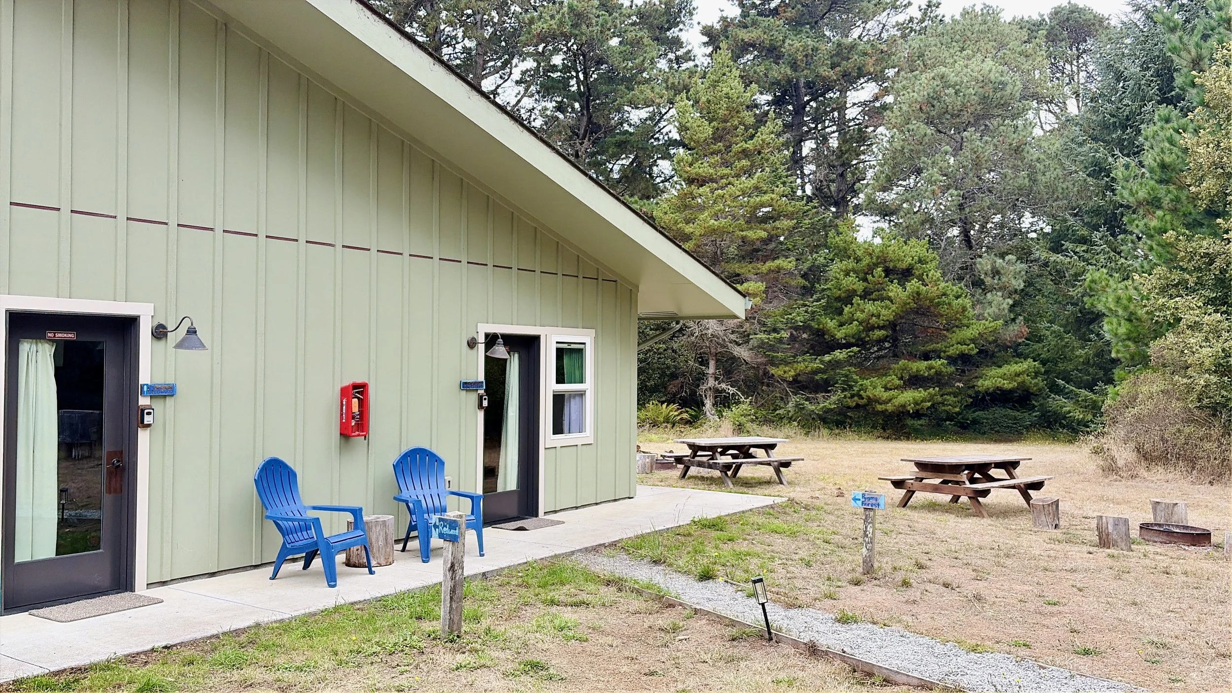 Not your typical hotel room!  Walk out your door straight into nature.  The trail to Jug Handle State Natural Reserve, Jug Handle Beach, and the Pygmy Forest is right there!  