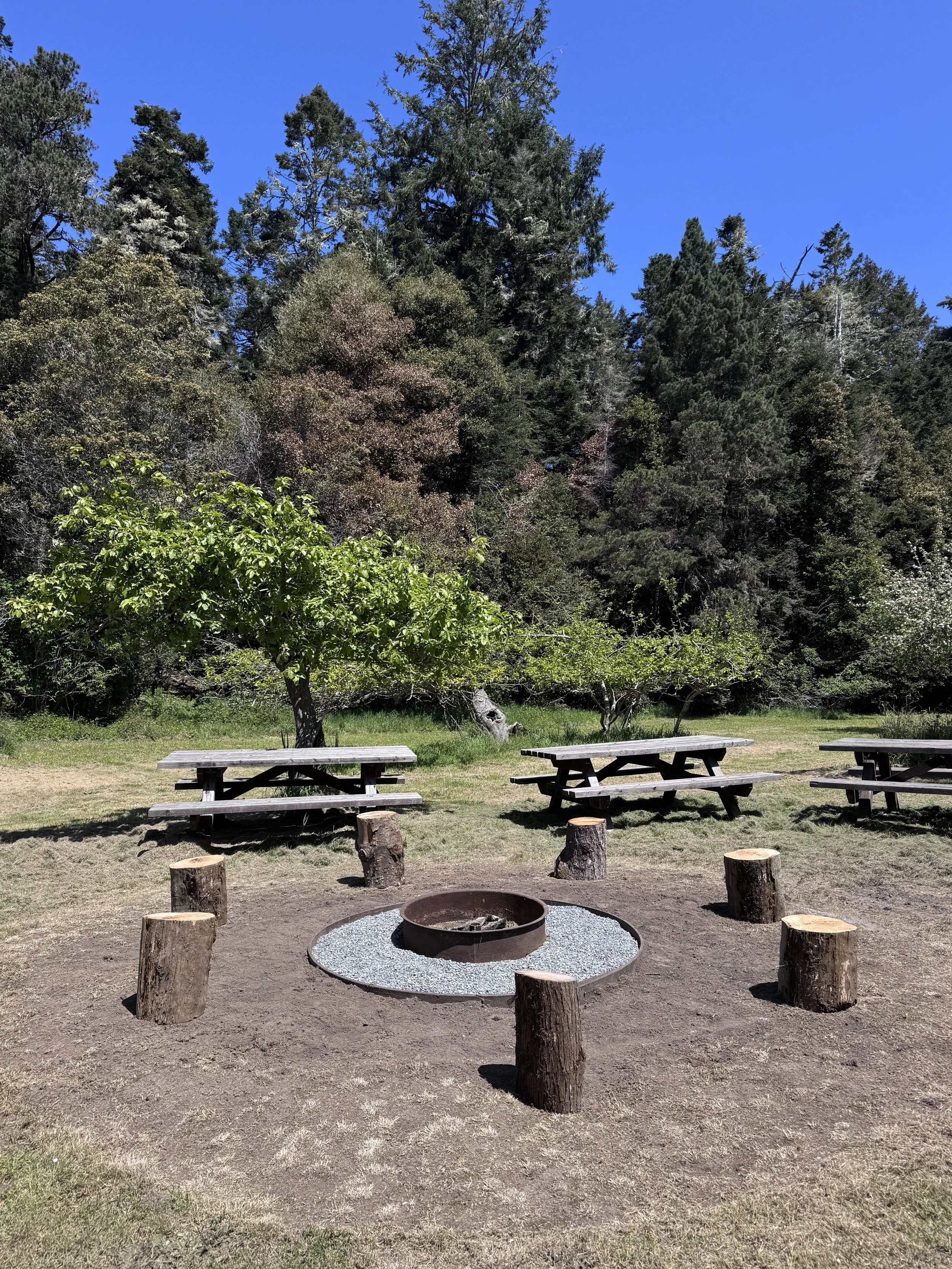Communal Fire pit - Located in our apple orchard, this communal fire pit is shared among guests in the Farmhouse, Cabins, and Cottages.  Bring your own firewood and s'mores fixings, and meet new friends around the fire and under the stars!  