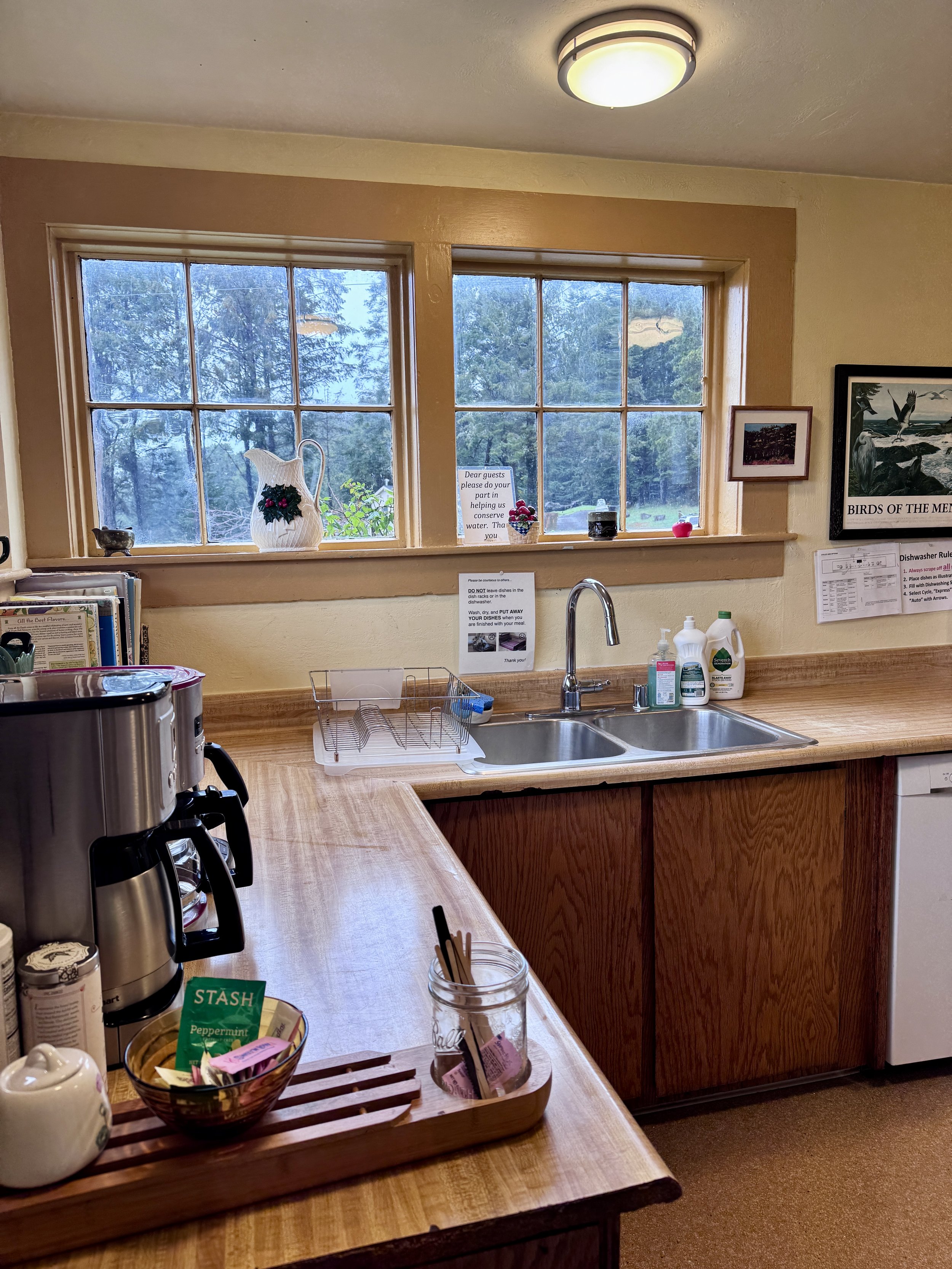 2026 Kitchen Pantry North Wall.jpg