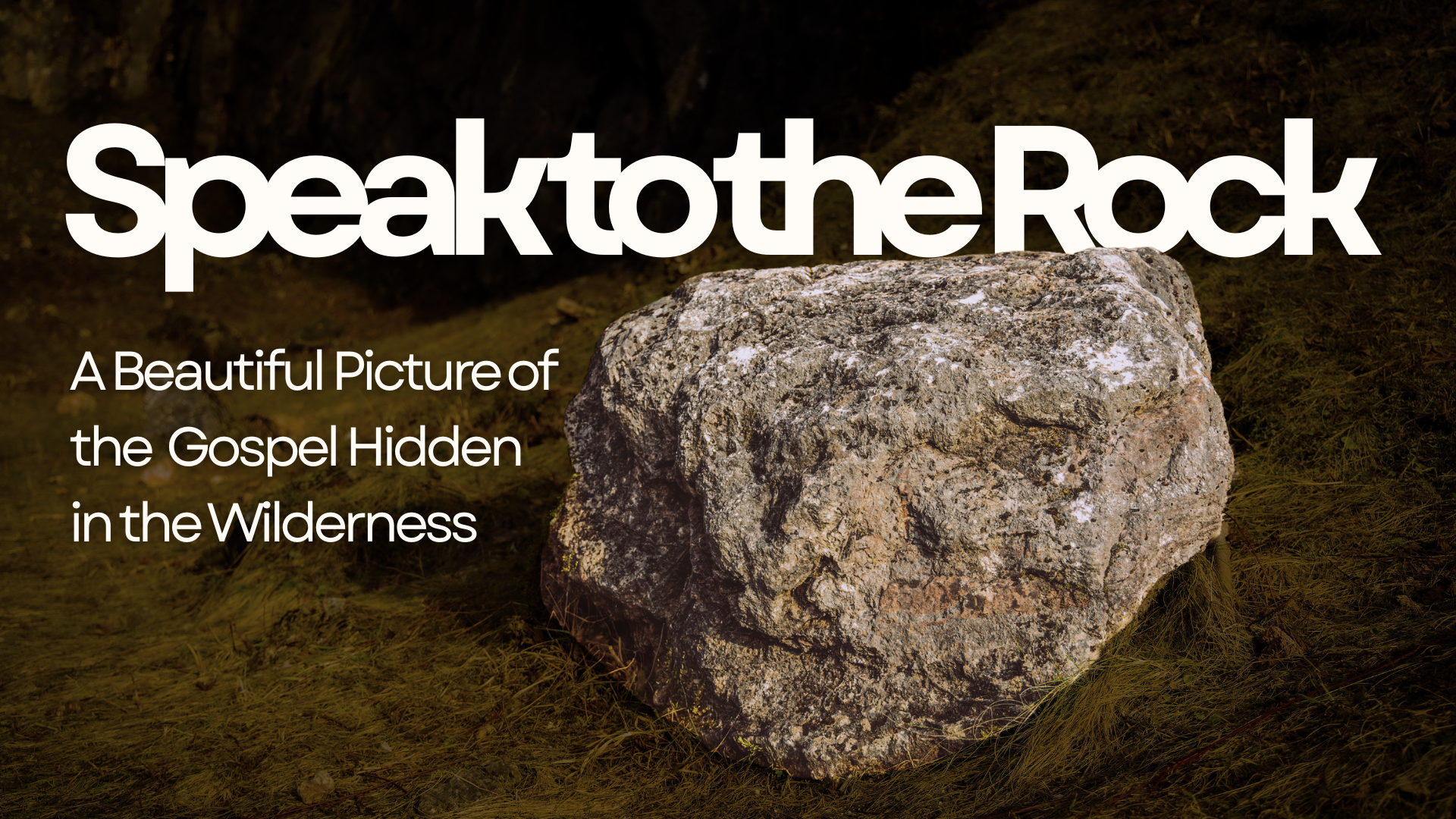 Speak to the Rock: A Beautiful Picture of the Gospel Hidden in the Wilderness