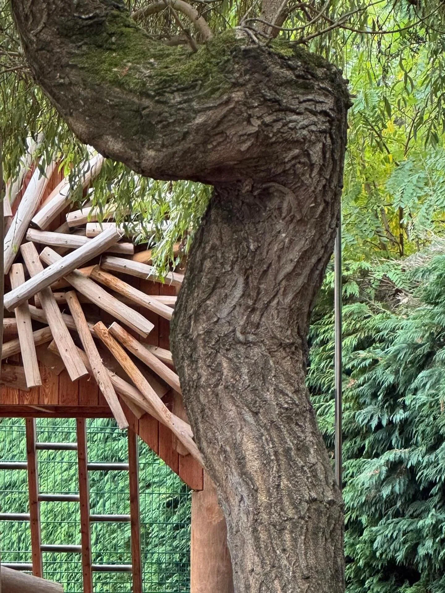 So enjoyed reading with Reception Year one and Year two classes at the Park School in Bournemouth as well as with years 1-3 at BSC Independent School in Bournemouth. 
Have a look here what spirit do you see near?