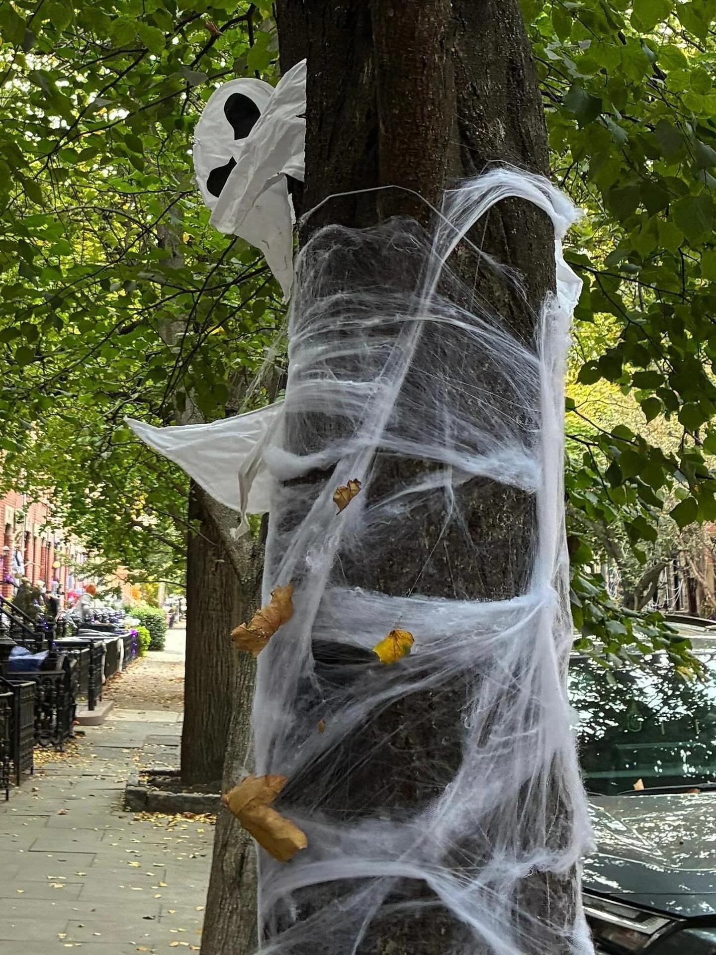 Which spirits do you see in these trees?  Happy Halloween 🎃 everyone 🎃

#halloween #treespirit #trees #ghost👻 #trickortreating #happyhalloween