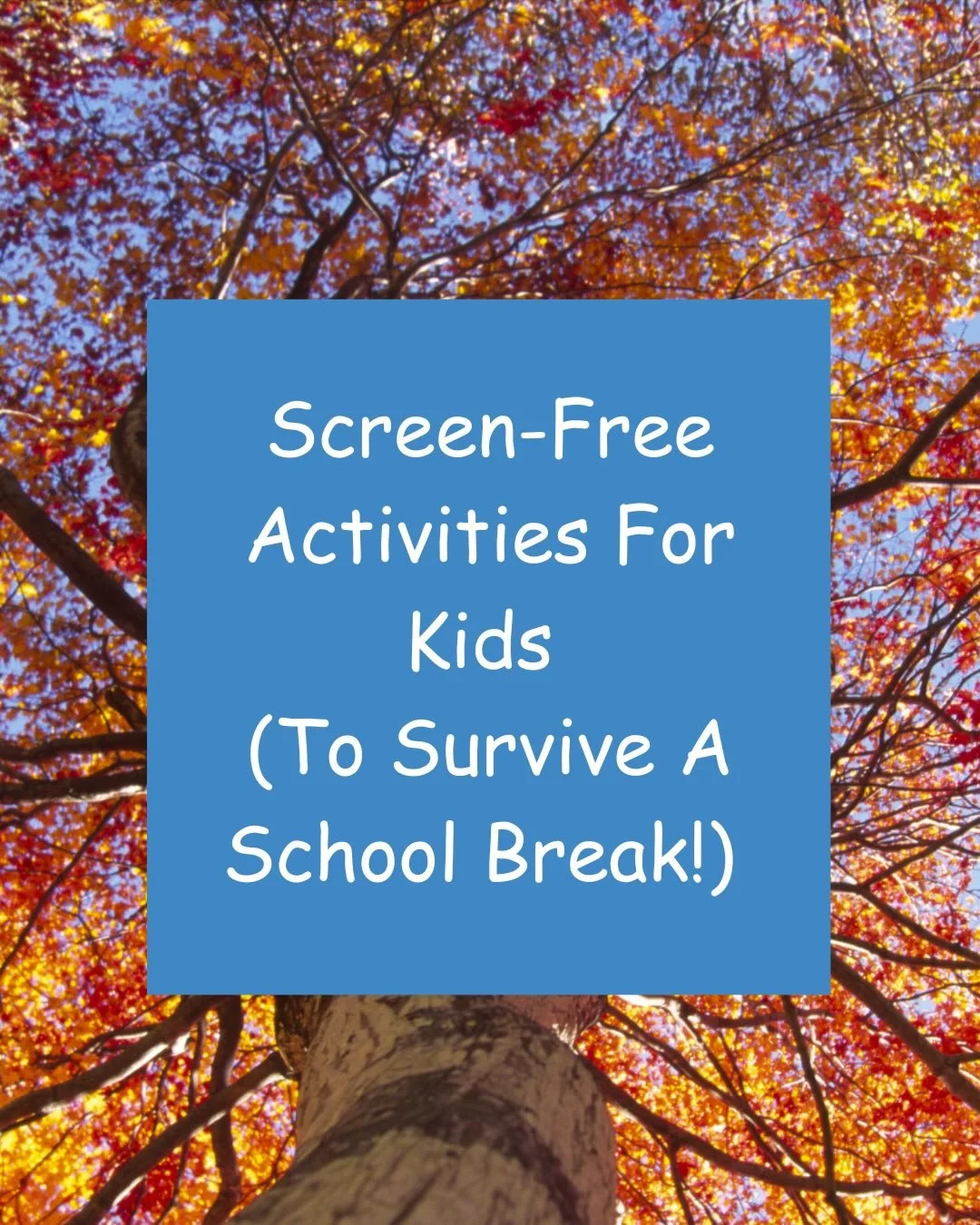 Whether your kids are already on holiday break or you&rsquo;re gearing up for family time later this week, here&rsquo;s a little reminder that there&rsquo;s plenty for them to enjoy beyond screen time.

#treesphotography📷🌳✌️ #treespirit #screenfree