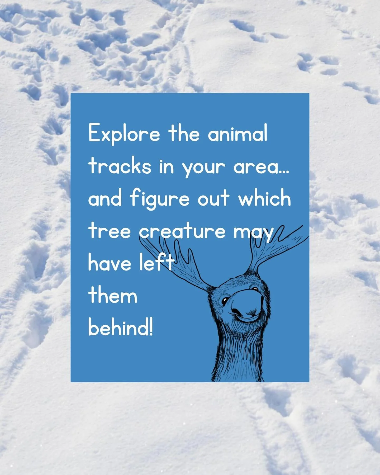 Whether you&rsquo;re on the brink of winter term break or looking for ways to keep kids off screens during an icy holiday weekend, remember there&rsquo;s always a way to bring nature and creativity into a child&rsquo;s day.

#valentines #1000hoursout
