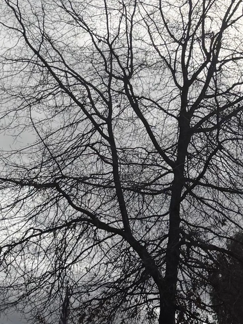 Read Across America week began with some wonderful readings. Thank you to Murdock-Portal Elementary School grades K-3 for all your imaginative ideas. 

It was a lot of fun being with you and I look forward to hearing and seeing your drawings and stor