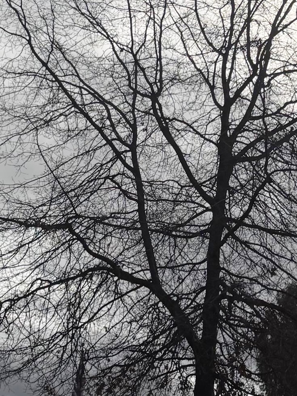 Read Across America week began with some wonderful readings. Thank you to Murdock-Portal Elementary School grades K-3 for all your imaginative ideas. 

It was a lot of fun being with you and I look forward to hearing and seeing your drawings and stor