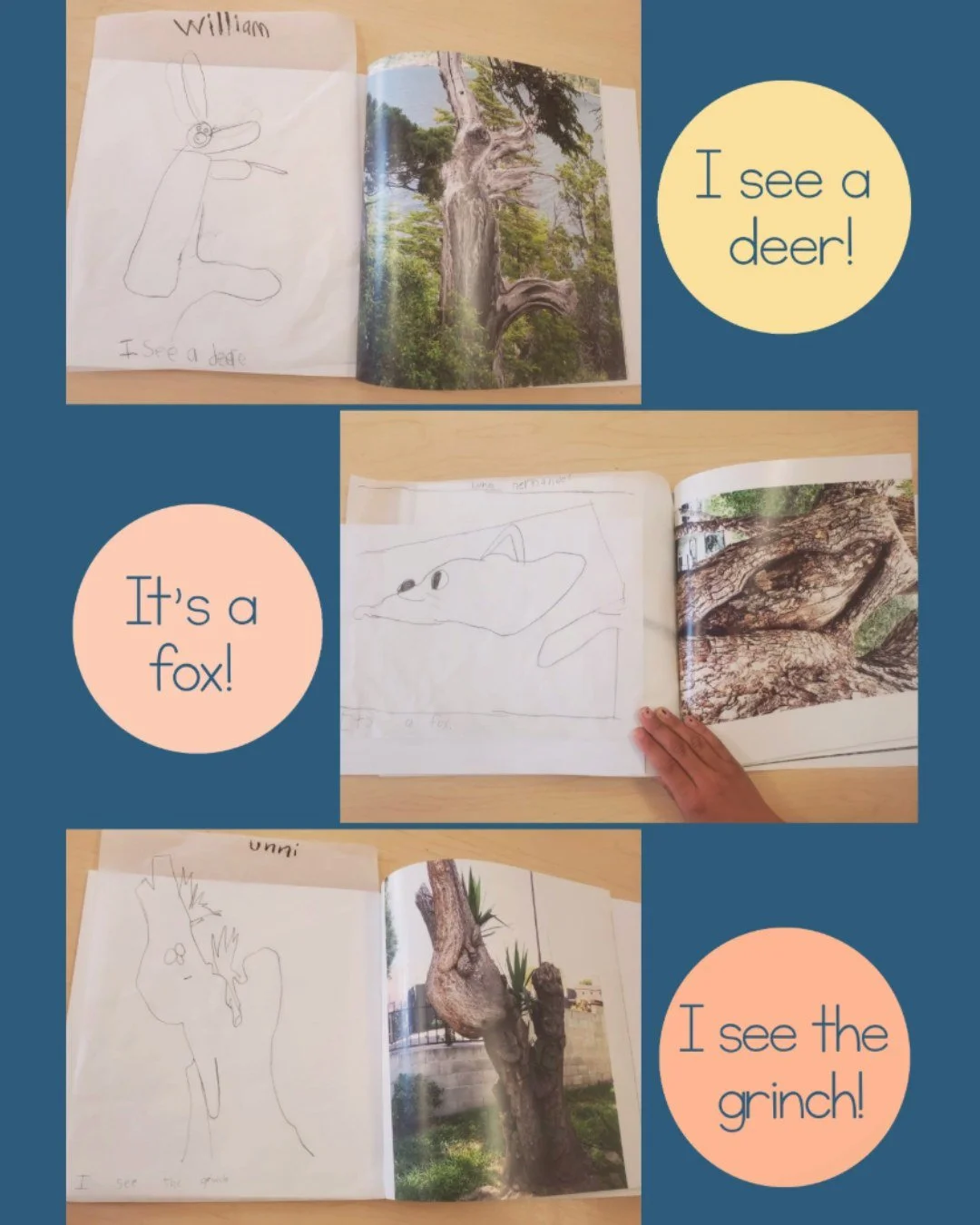 A wonderful thing happens when I visit schools and share TREE SPIRITS and TREE SPIRITS AROUND THE WORLD. When I ask kids to tell me what THEY see in the pages of the book and bark of the trees, they move from passive listeners to active participants 