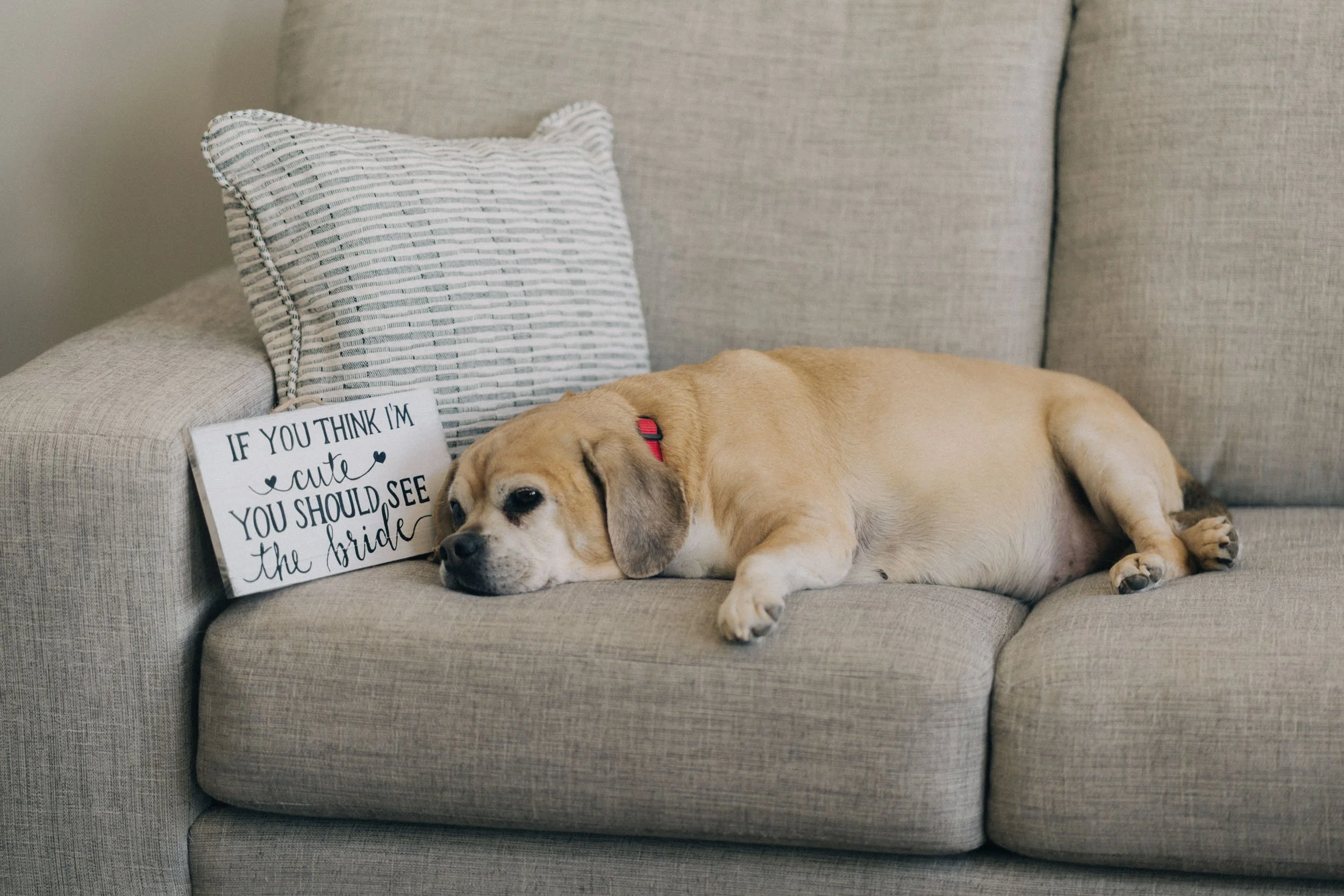 Brittany & Dustin-12.jpg