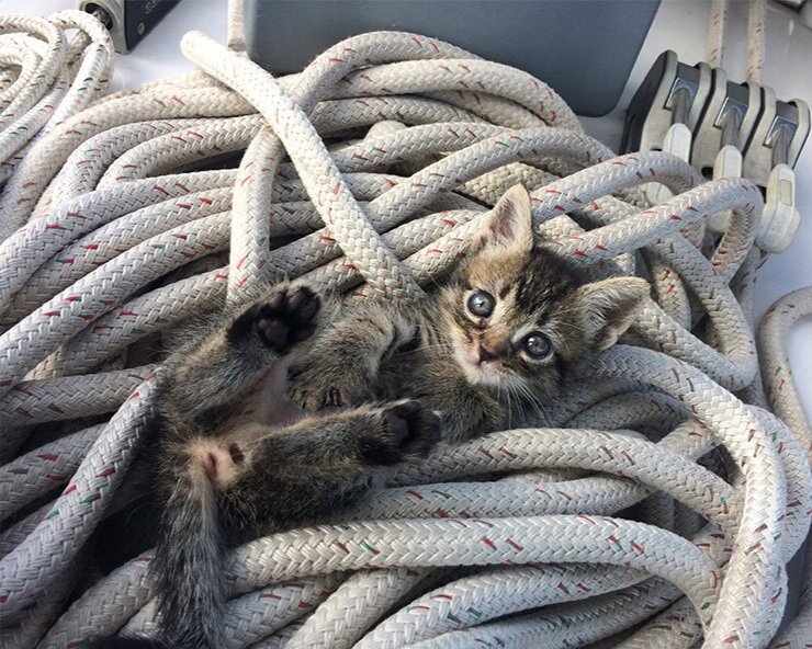 At play in the field of sheets