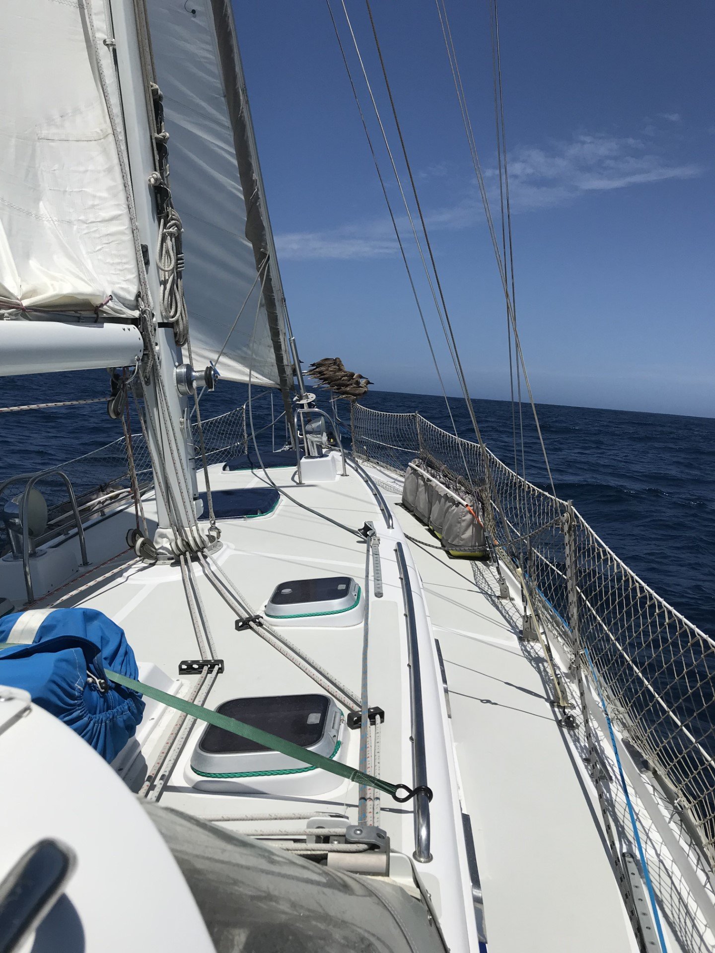 Sailing out to Hawaii