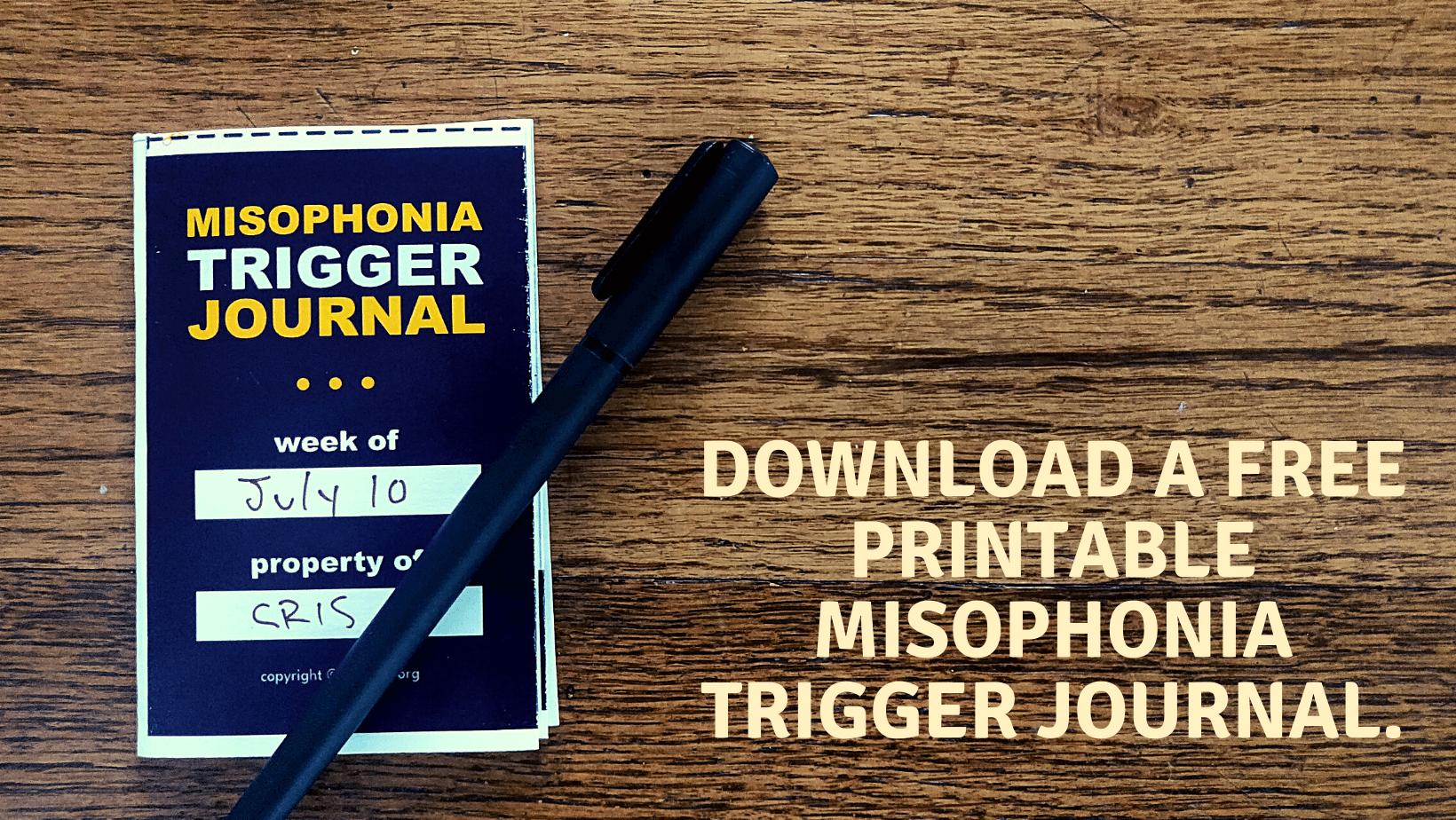 Why you should keep a misophonia trigger journal. — soQuiet Misophonia