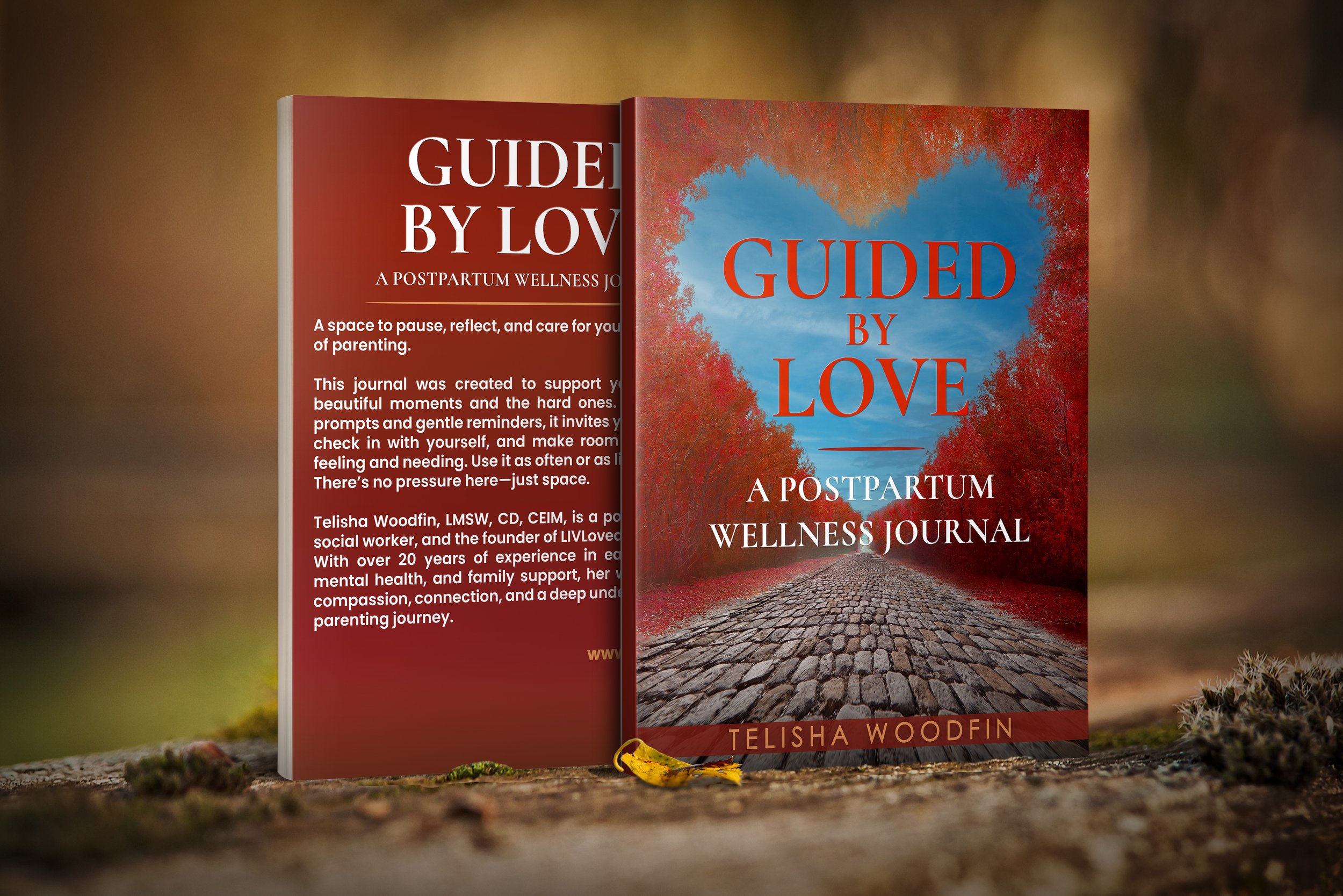 Paperback Mockup 1.jpg
