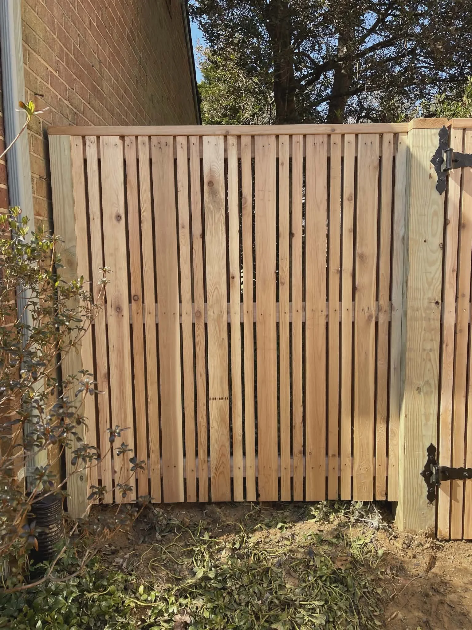 76fd8b3e-aa41-4530-a74d-5e99c1dcb520.jfif