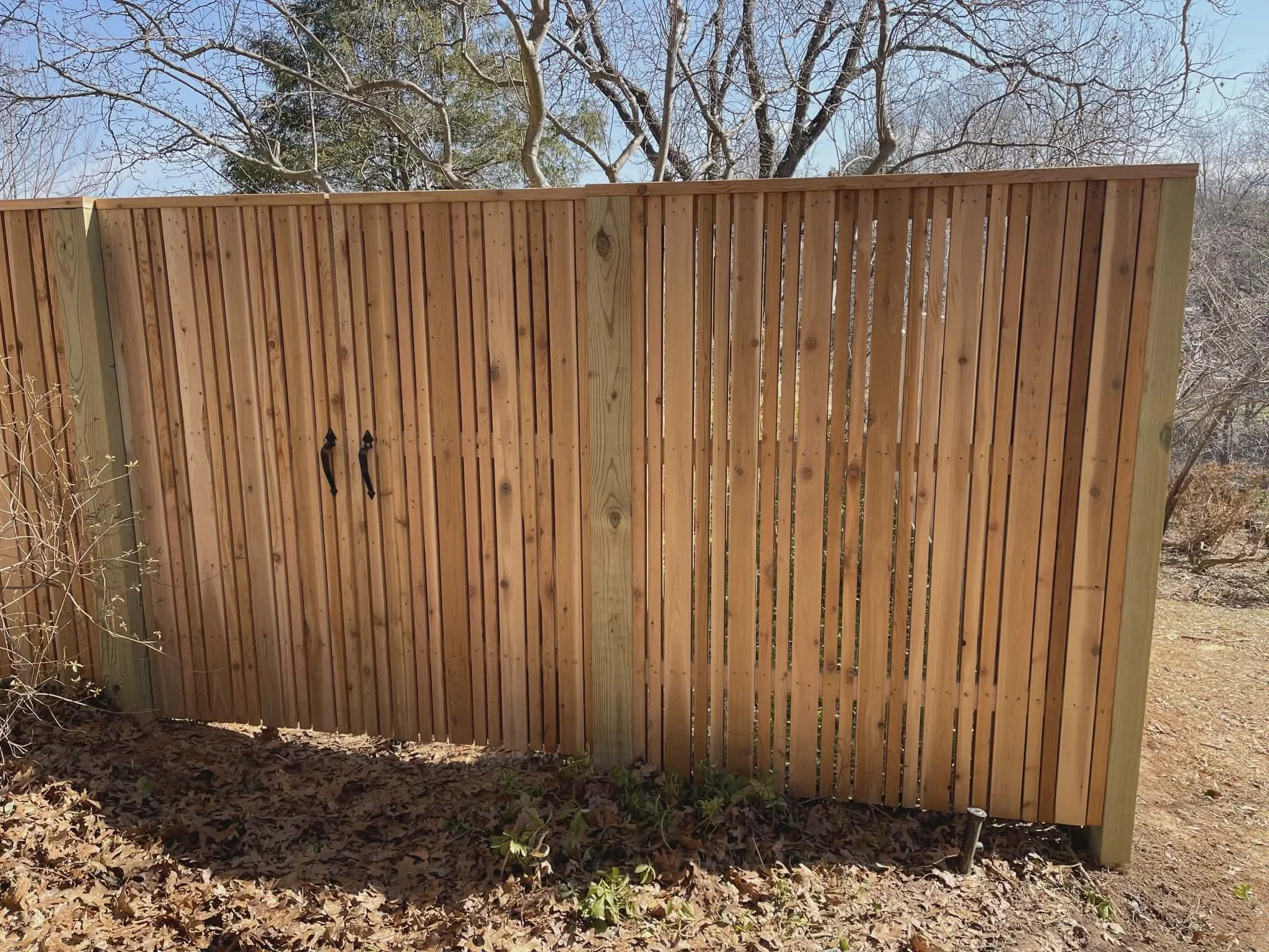 e8ea2efd-63cf-4e40-a3c9-a240e920e605.jfif