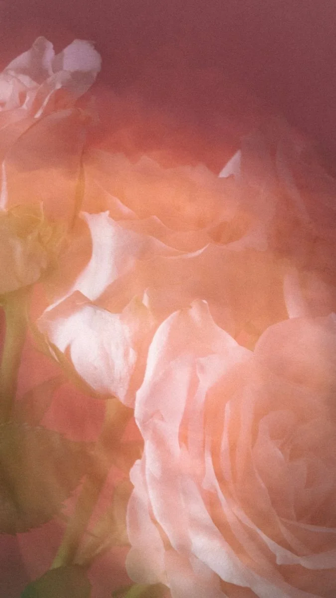 Sisterhood of The Rose