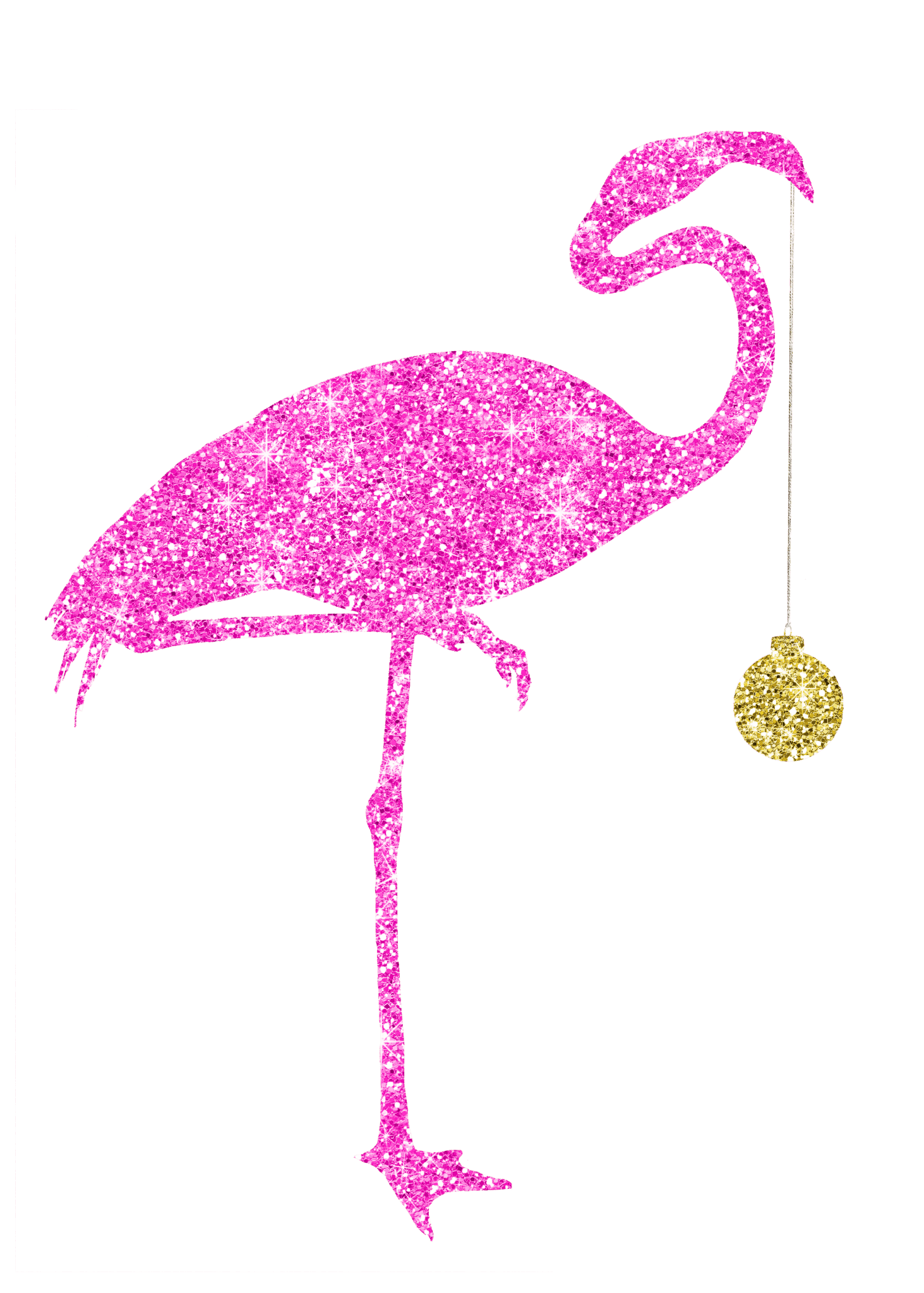 Florida christmas photos