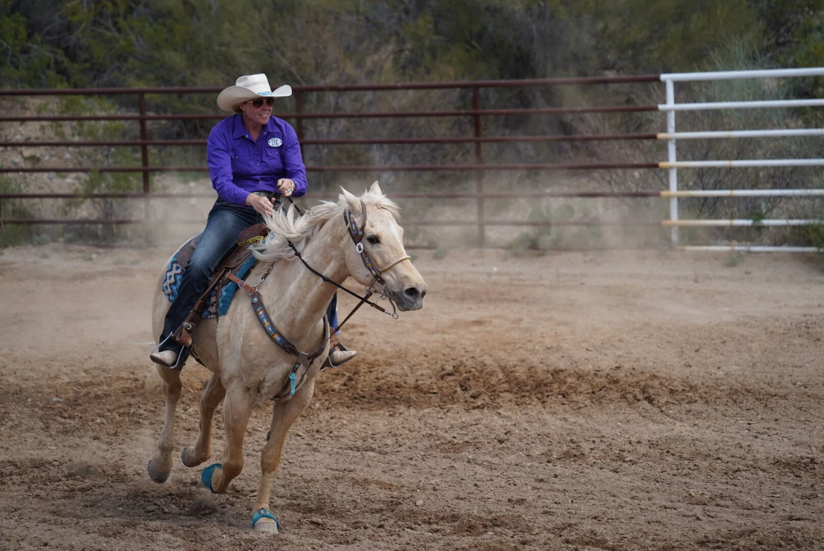 LRG_DSC01047 (1).JPG