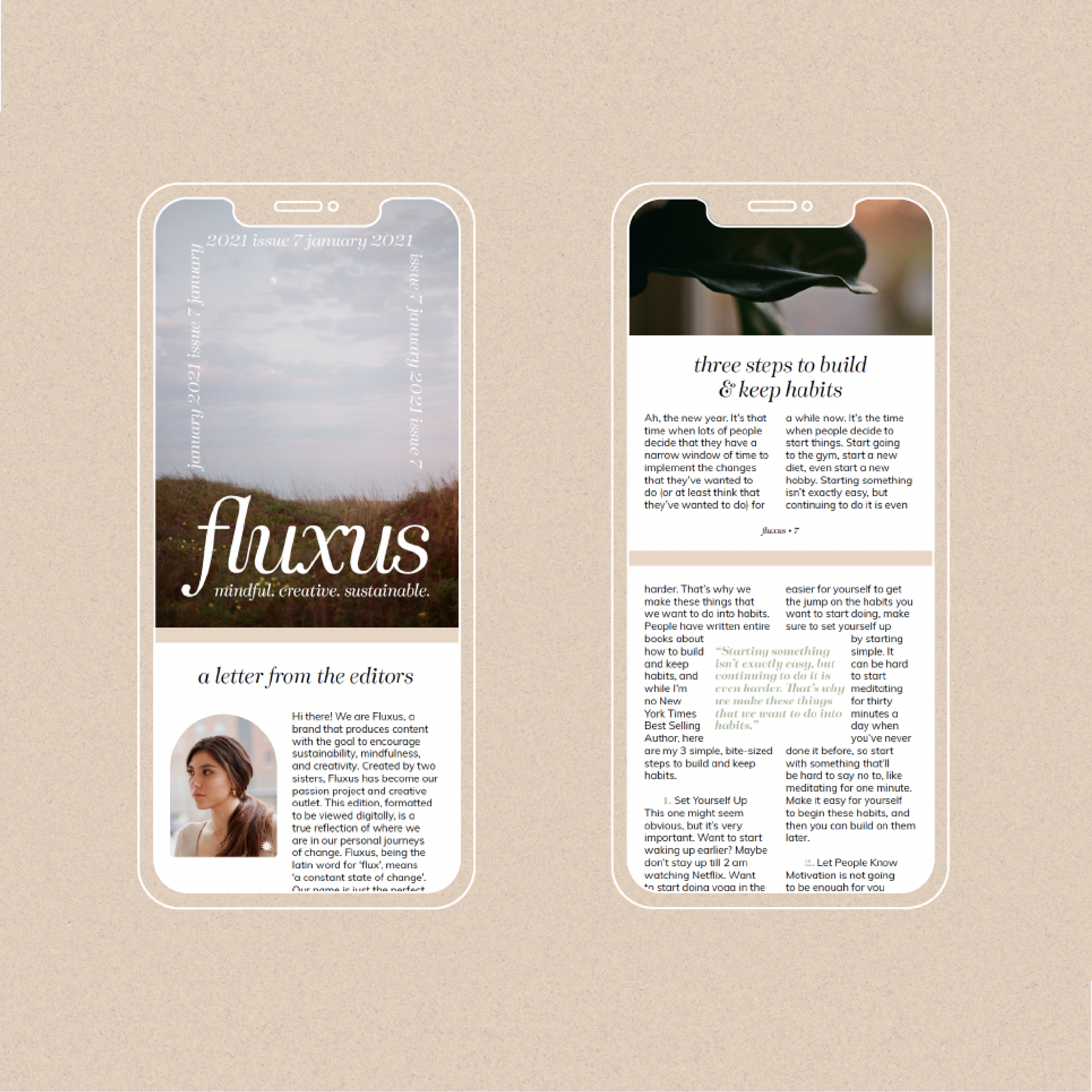 FluxusWebsite-2-02.png