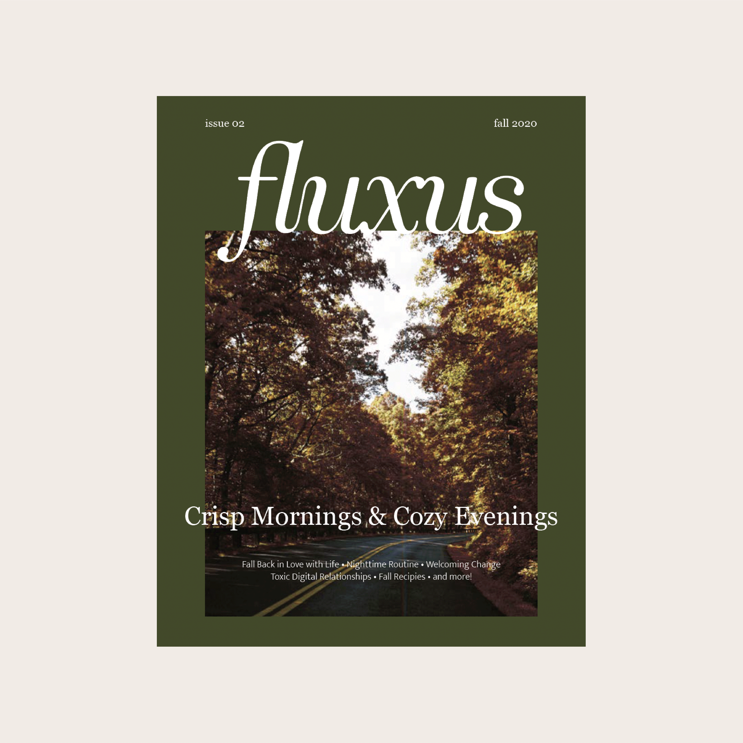 FluxusWebsite-MagCovers.gif