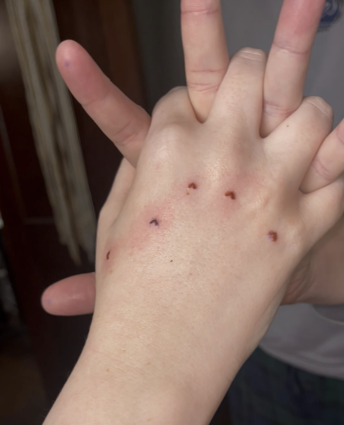 Screenshot 2026-03-12 at 2.17.18 PM.png