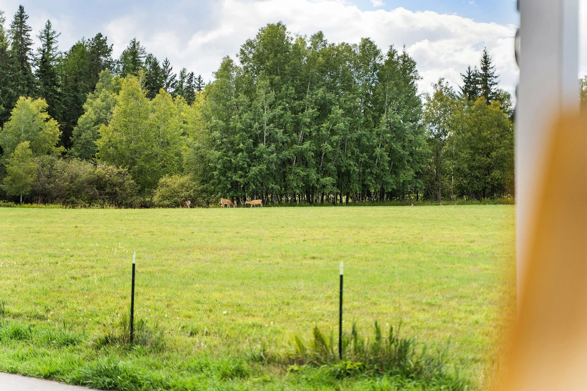 AMS_R_403TrailviewWay_33.jpg