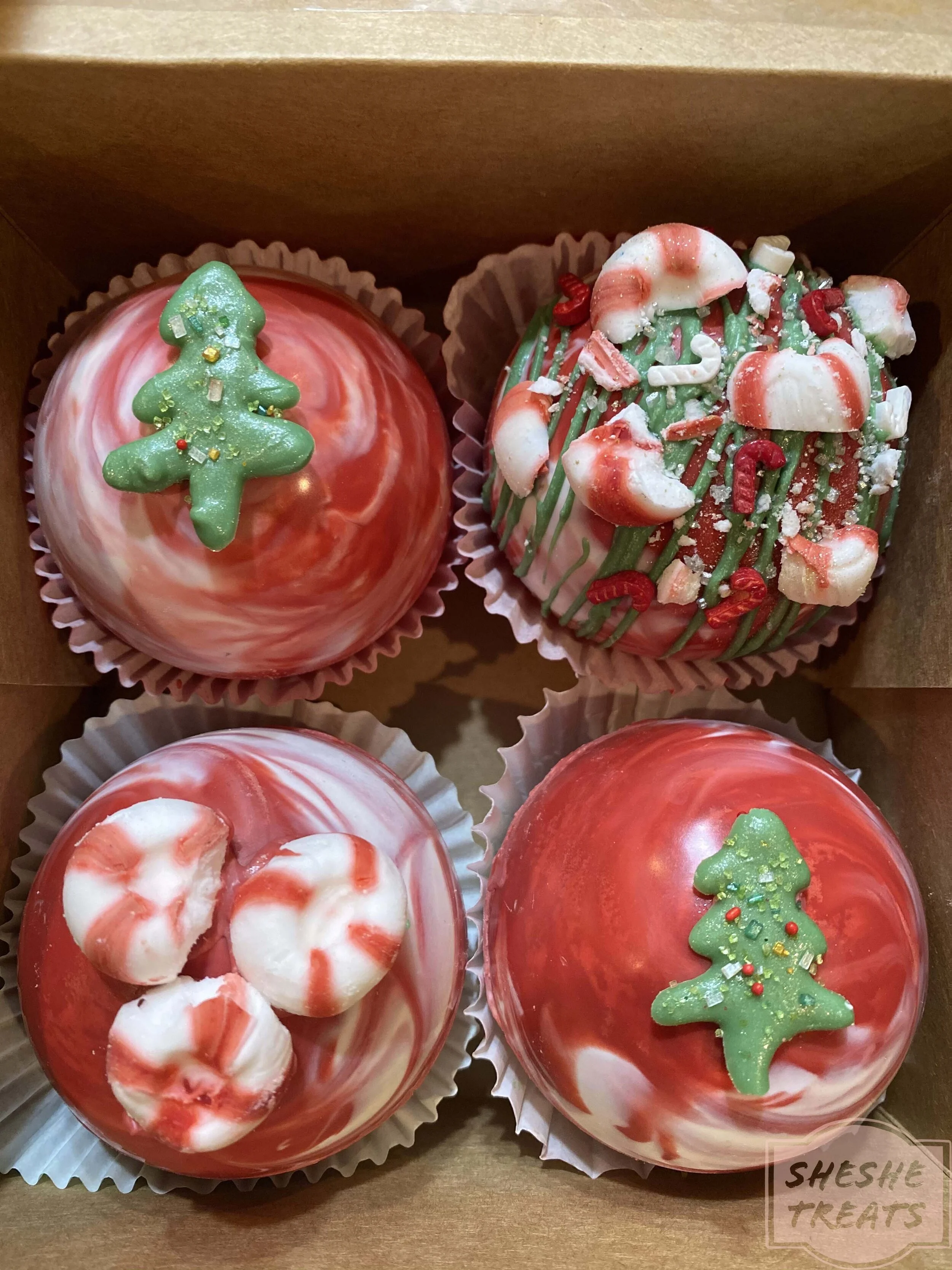 Photo Dec 23, 2 14 22 AM.jpg