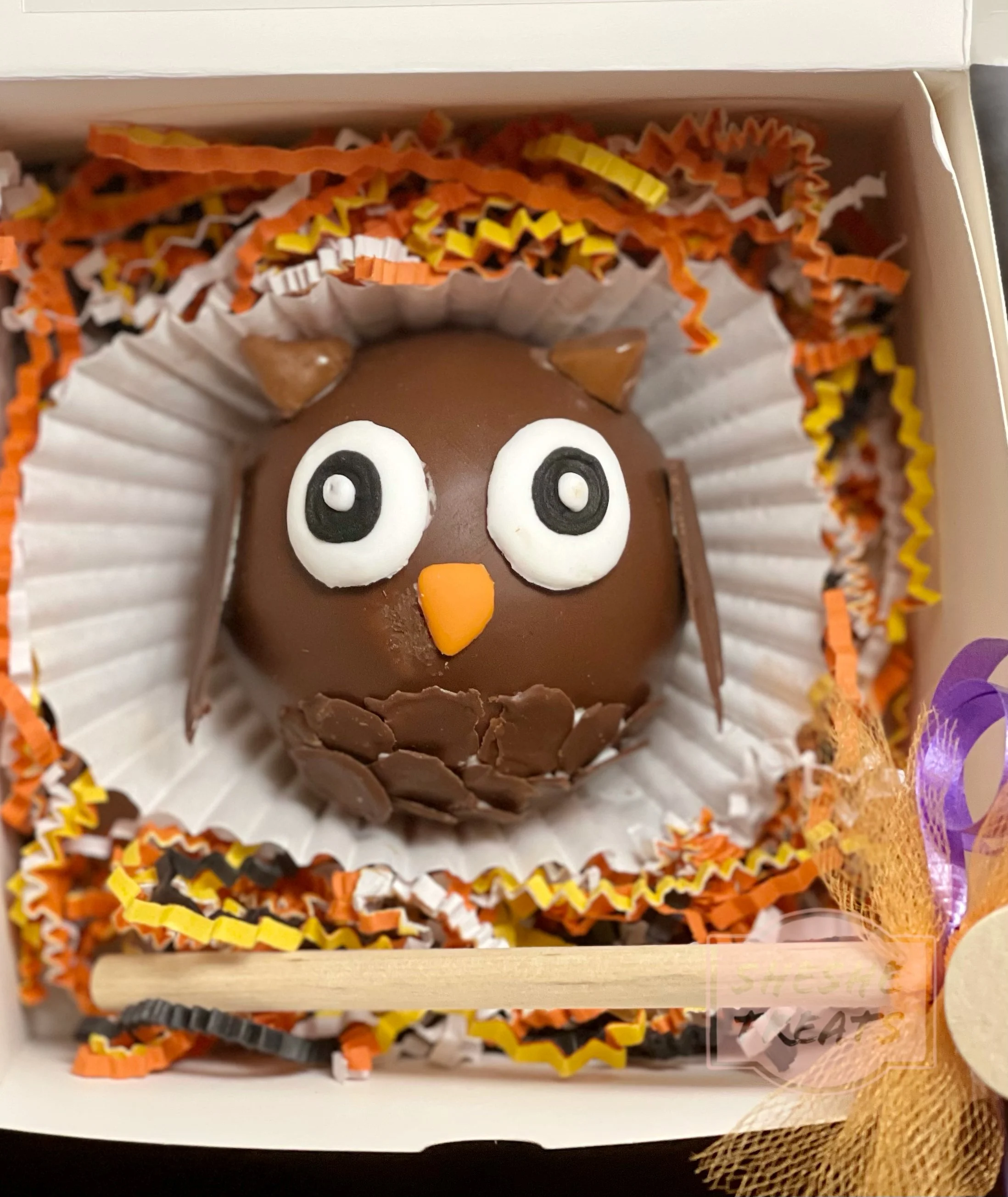 Owl-shaped hot chocolate bomb in a nest of shredded packaging