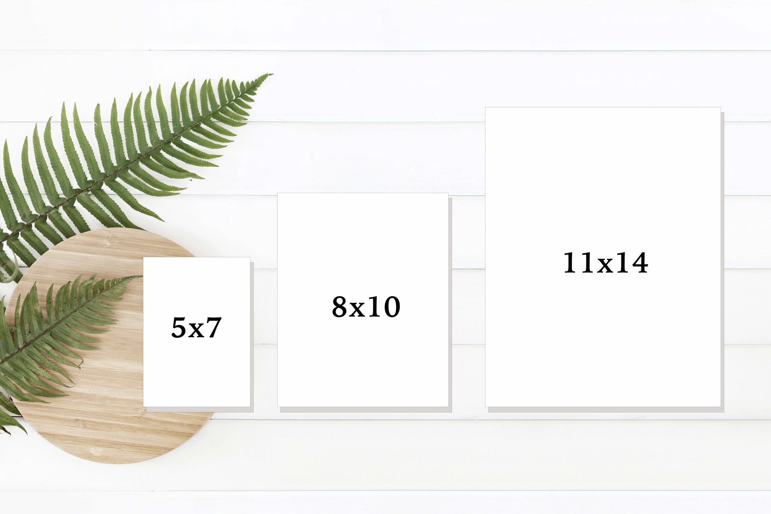Size Comparrison.jpg